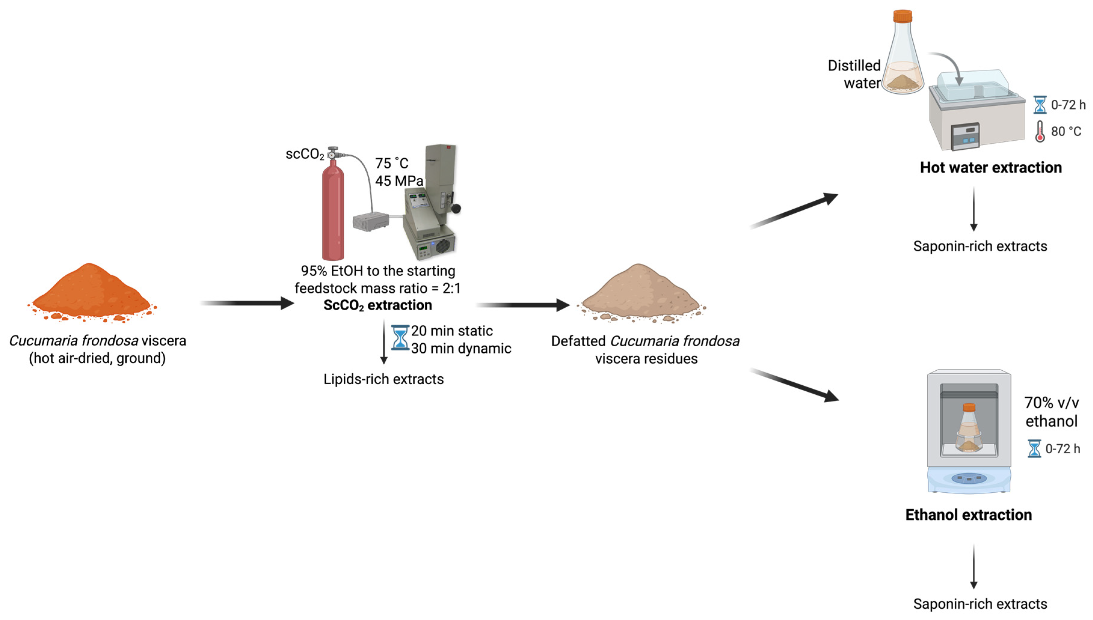 Marinedrugs 23 00272 g006