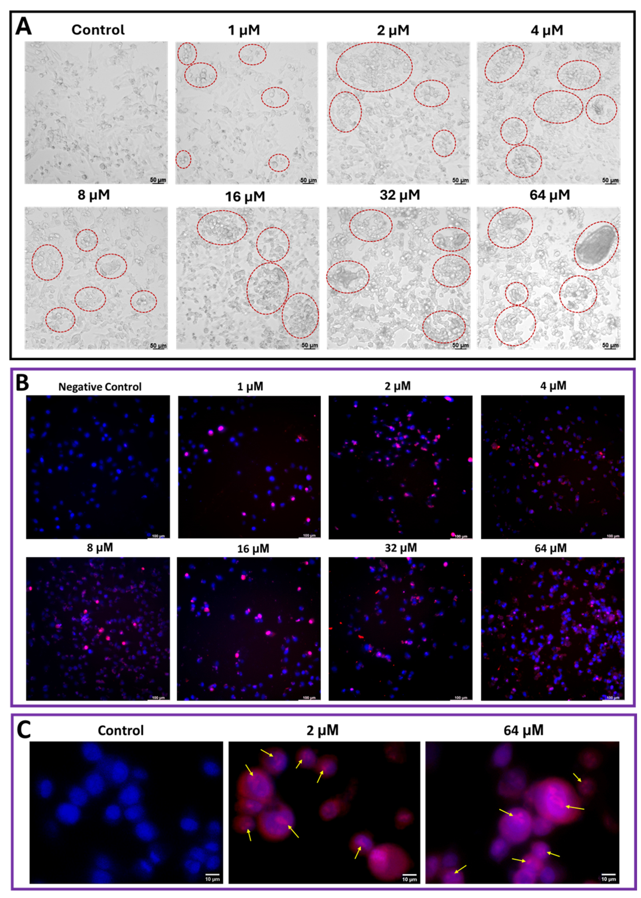 Marinedrugs 23 00273 g004