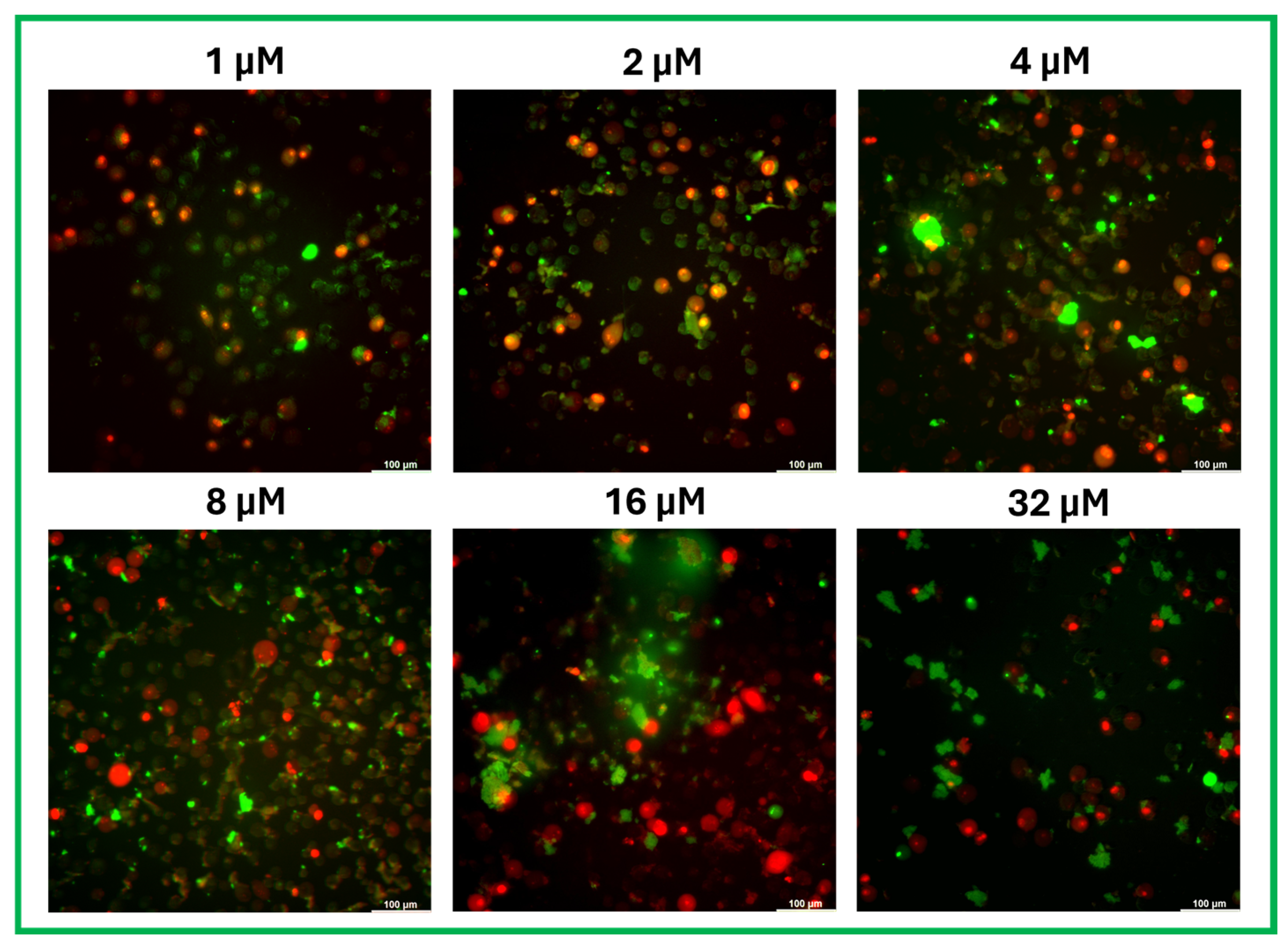 Marinedrugs 23 00273 g006