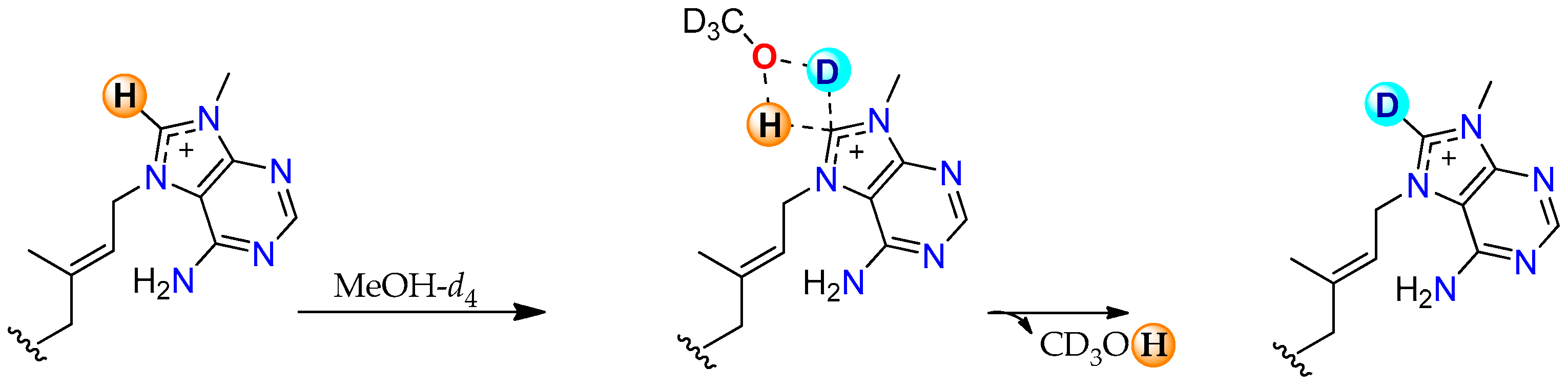 Marinedrugs 23 00276 g012