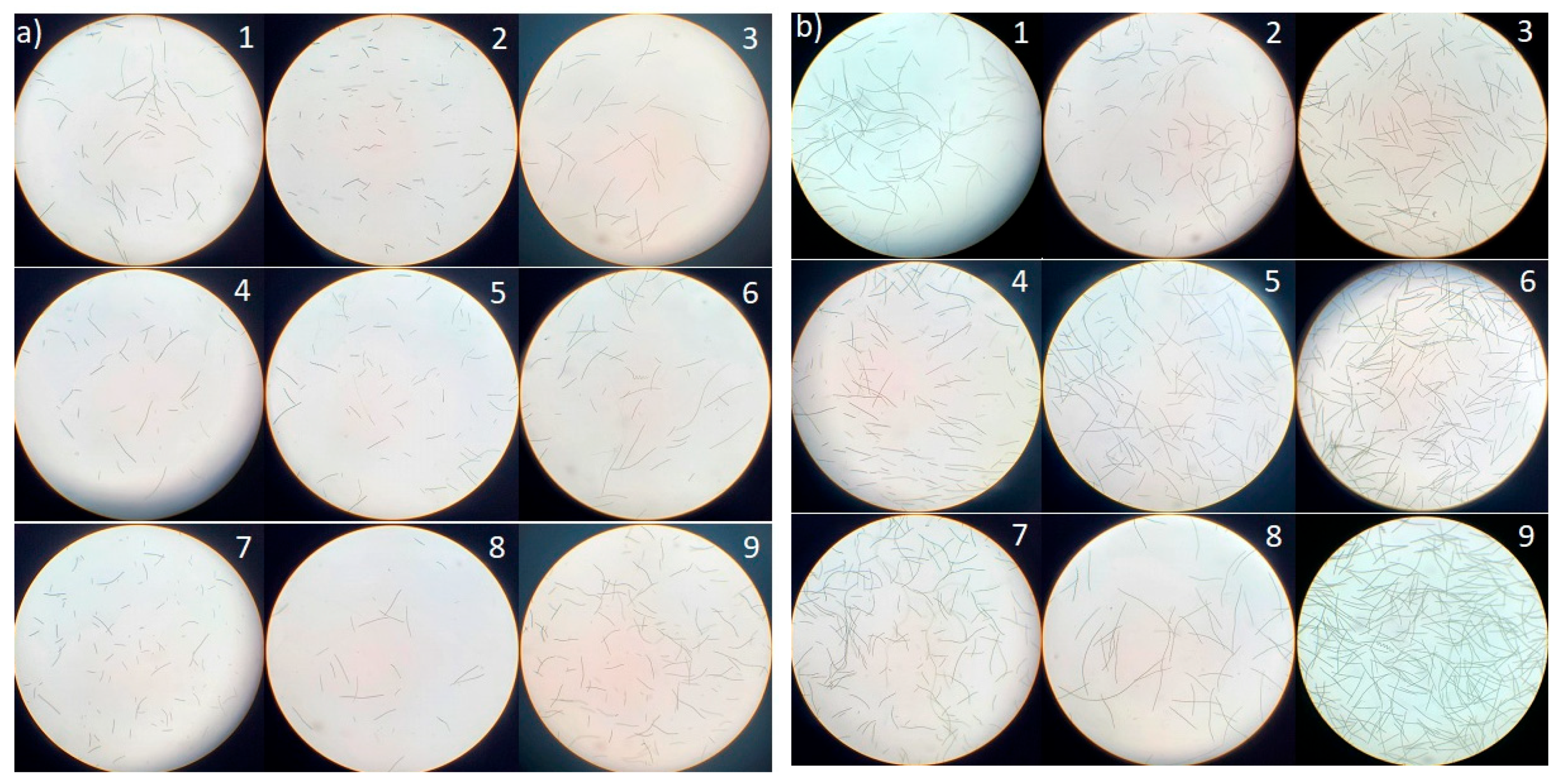 Marinedrugs 23 00281 g002