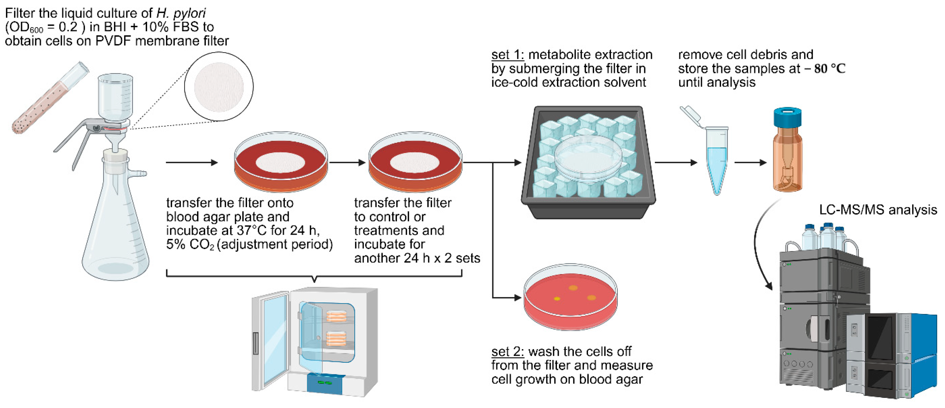 Marinedrugs 23 00282 g004