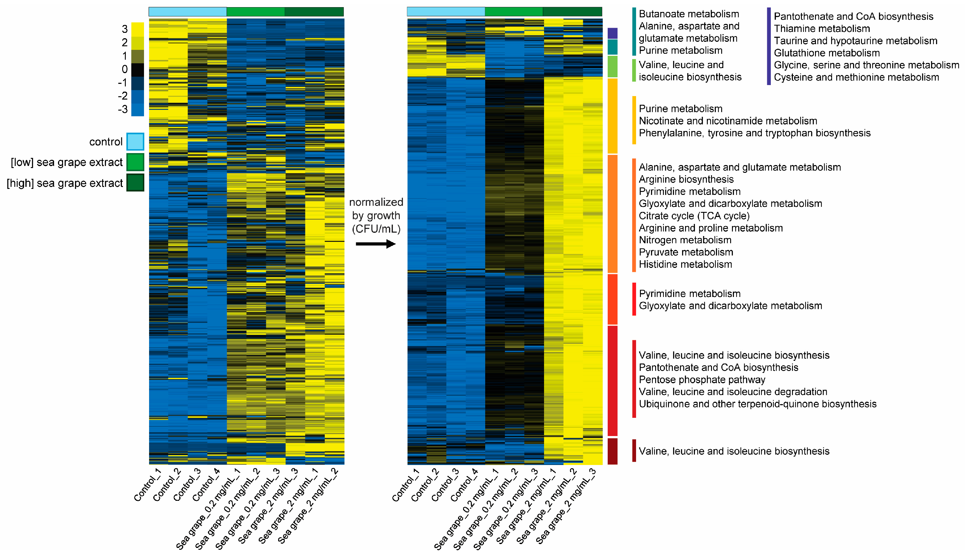 Marinedrugs 23 00282 g006