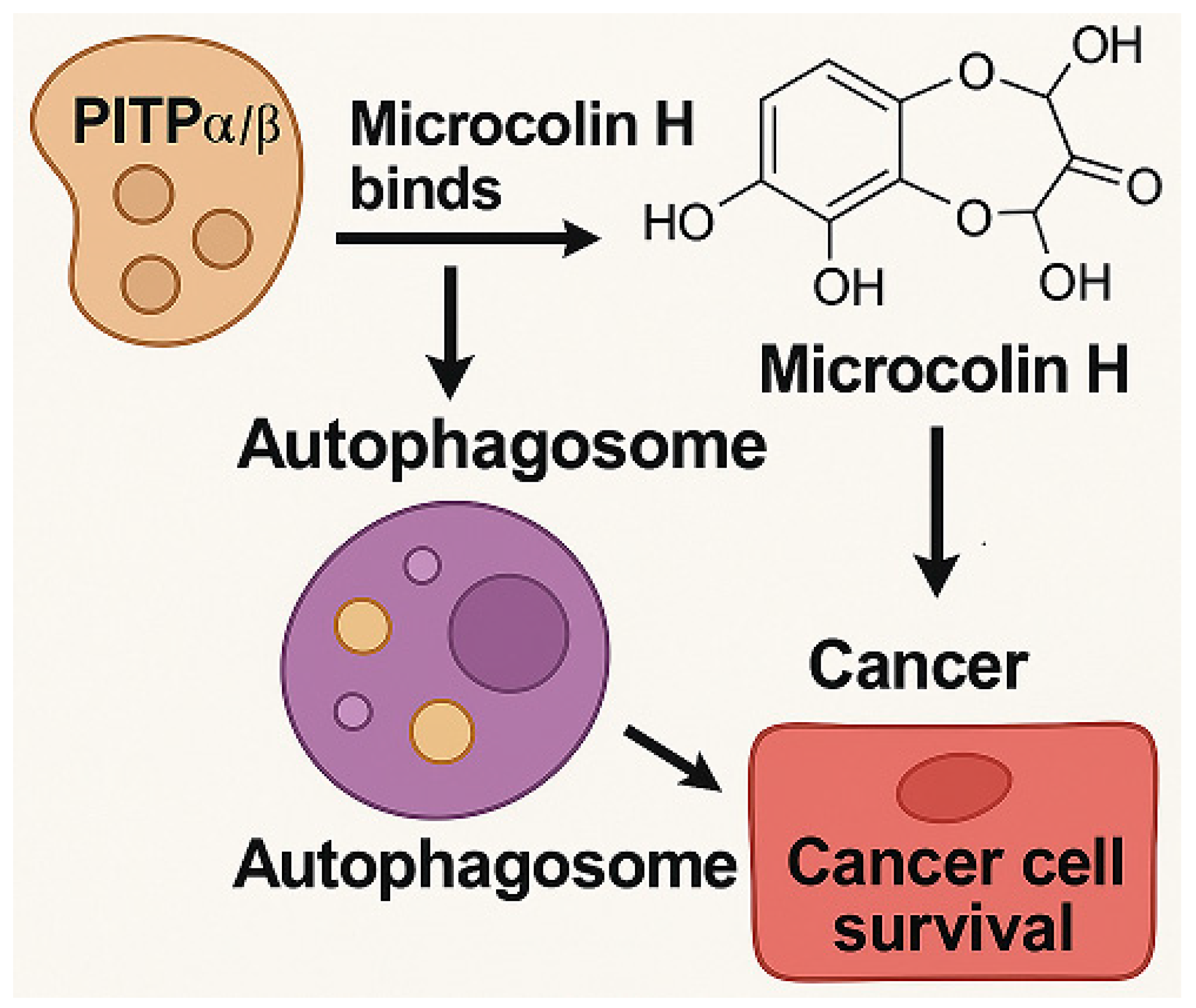 Marinedrugs 23 00283 g002 Marinedrugs 23 00283 g002
