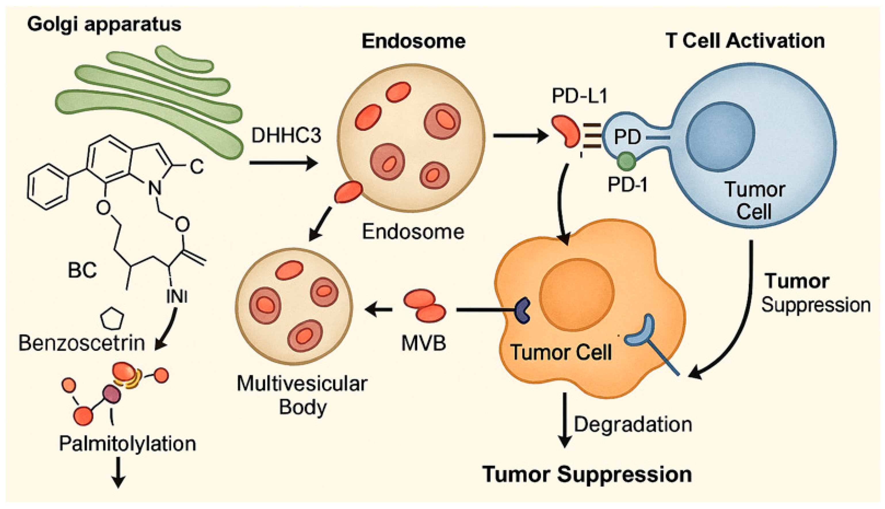 Marinedrugs 23 00283 g003 Marinedrugs 23 00283 g003