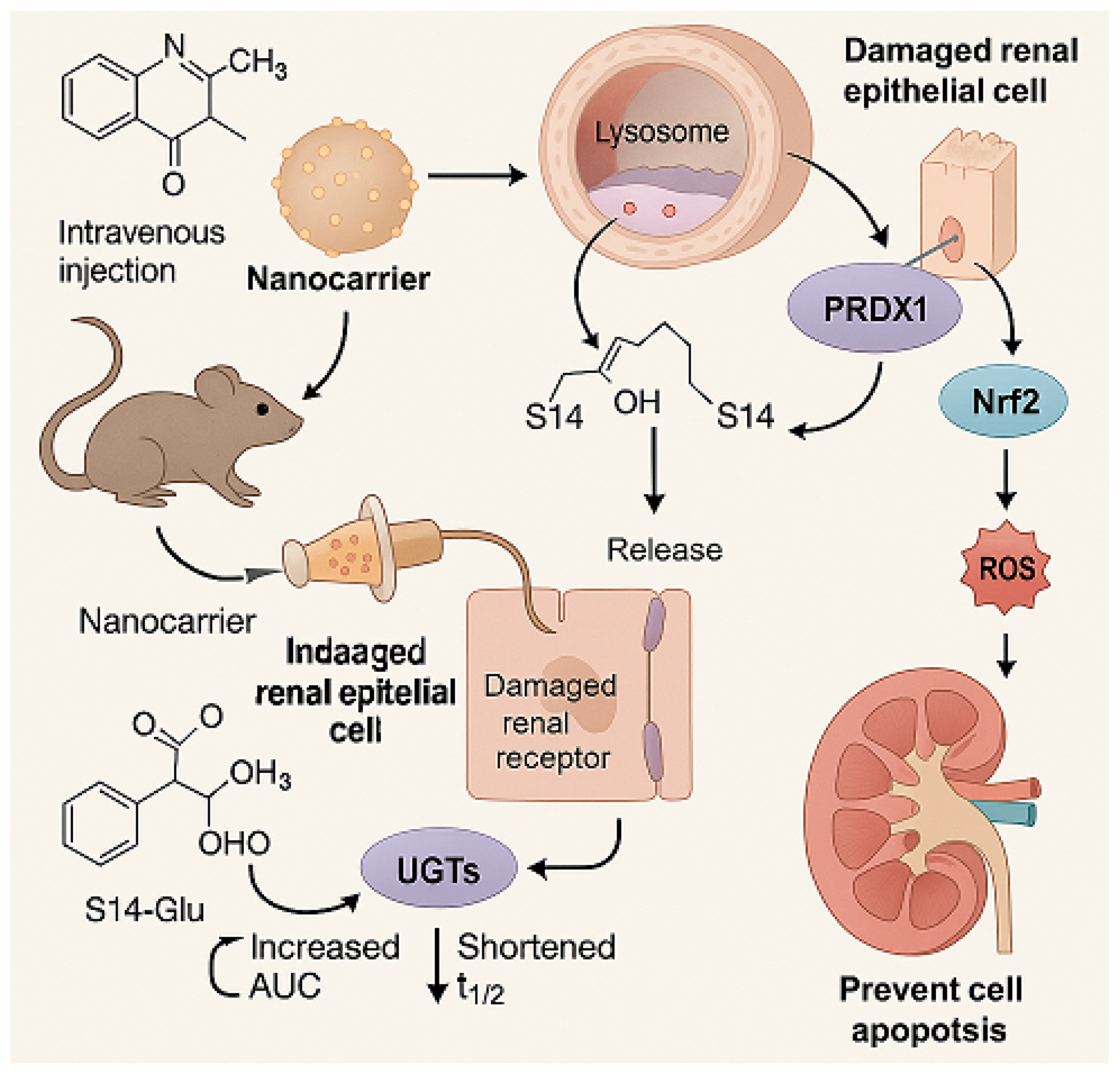 Marinedrugs 23 00283 g004 Marinedrugs 23 00283 g004