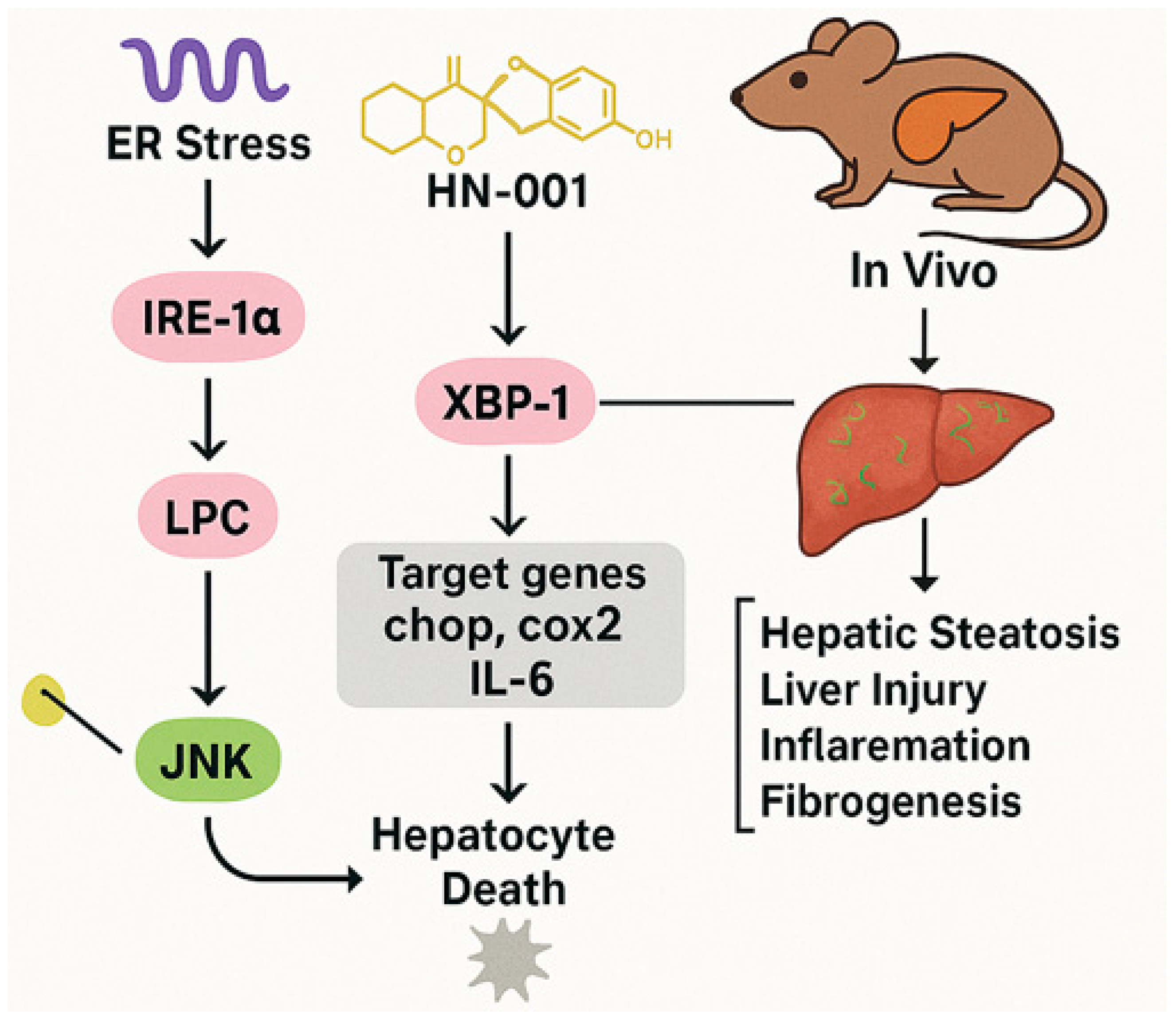 Marinedrugs 23 00283 g005 Marinedrugs 23 00283 g005