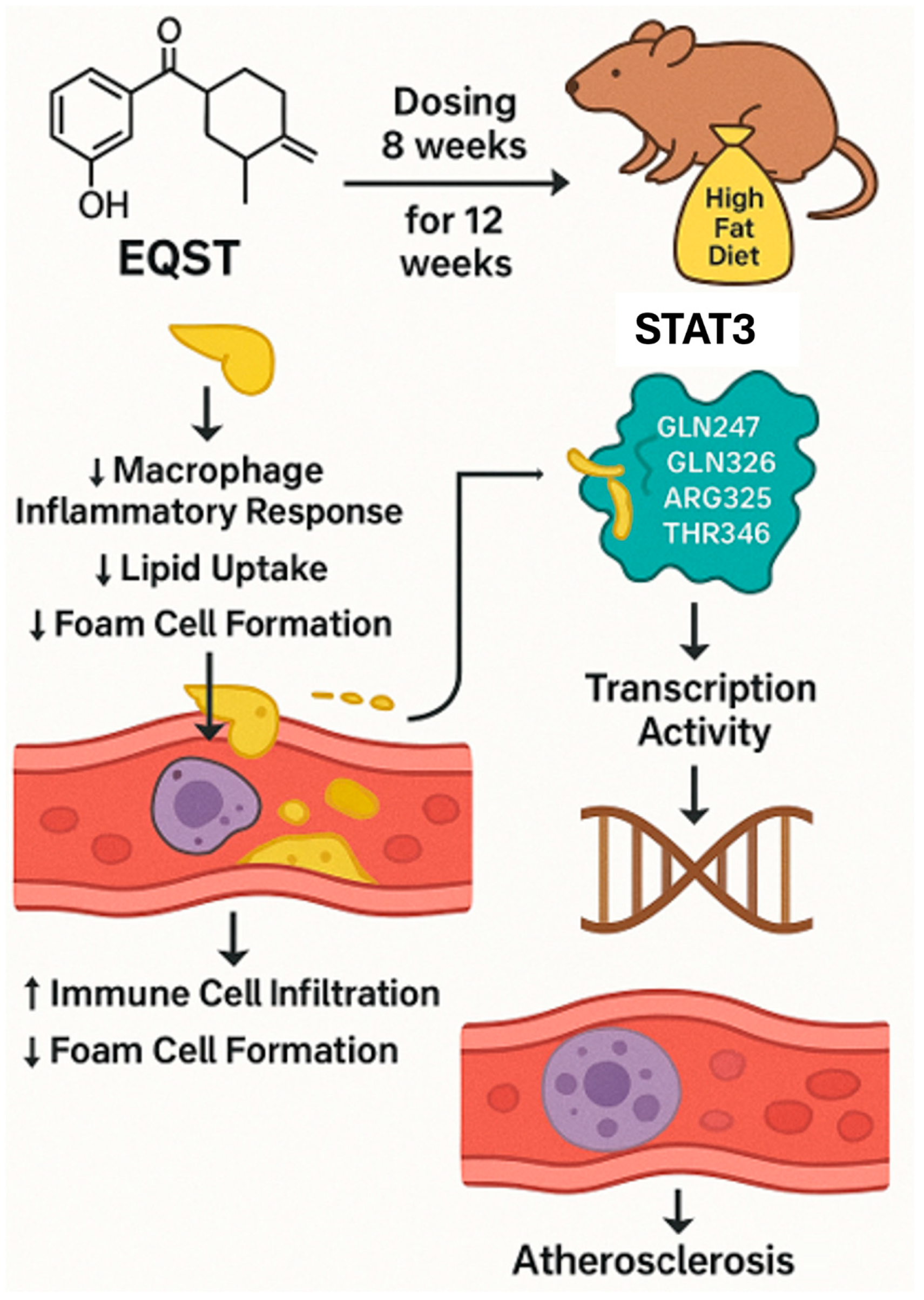 Marinedrugs 23 00283 g006 Marinedrugs 23 00283 g006