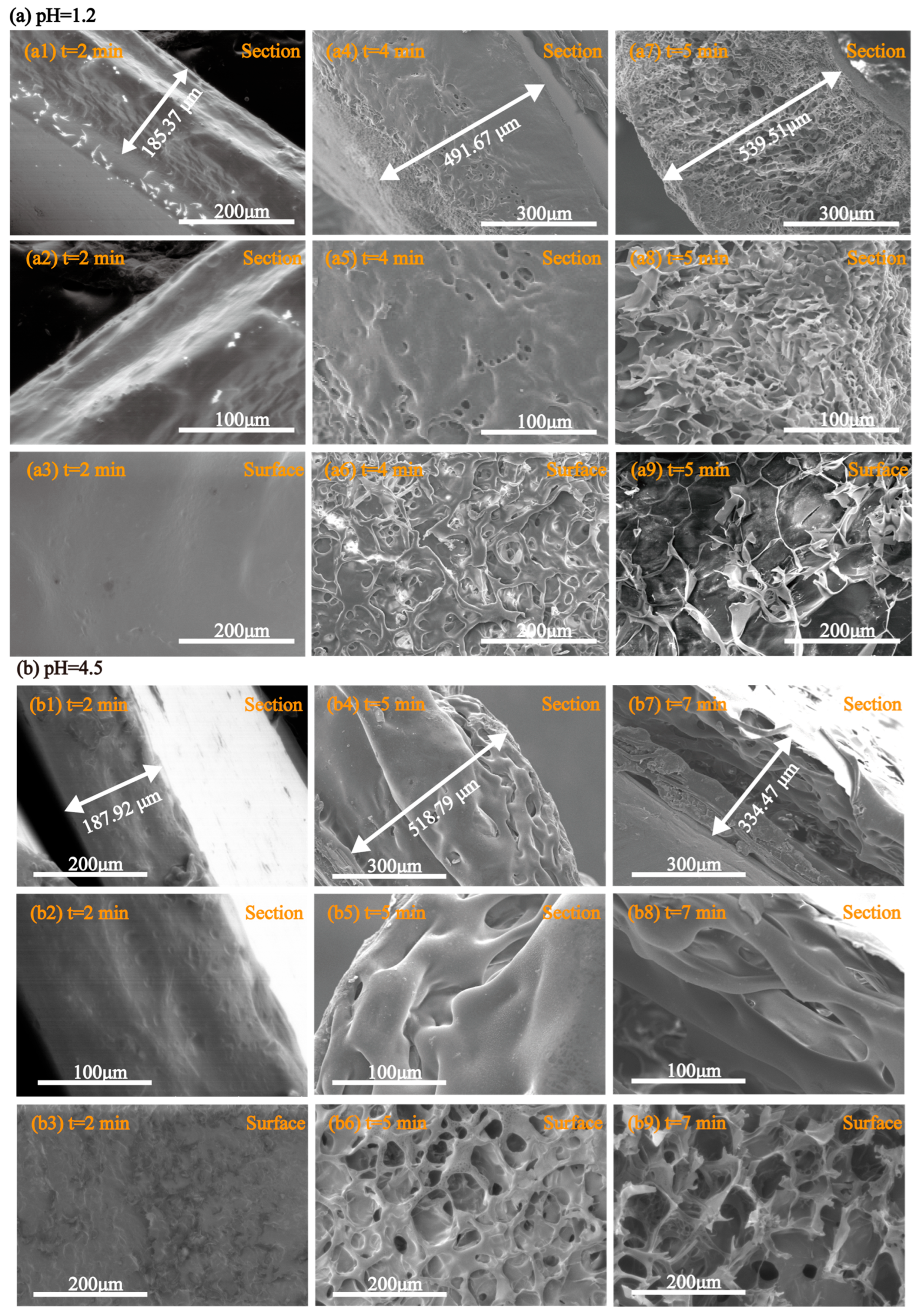 Marinedrugs 23 00284 g011a