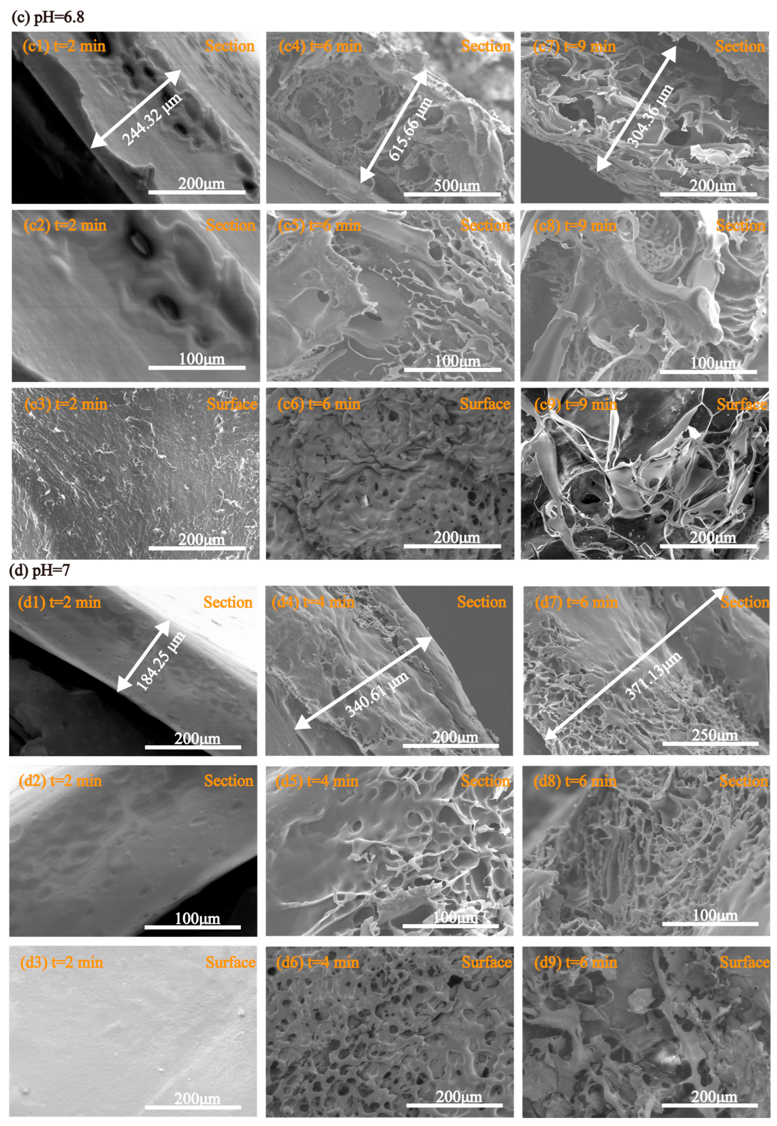 Marinedrugs 23 00284 g011b