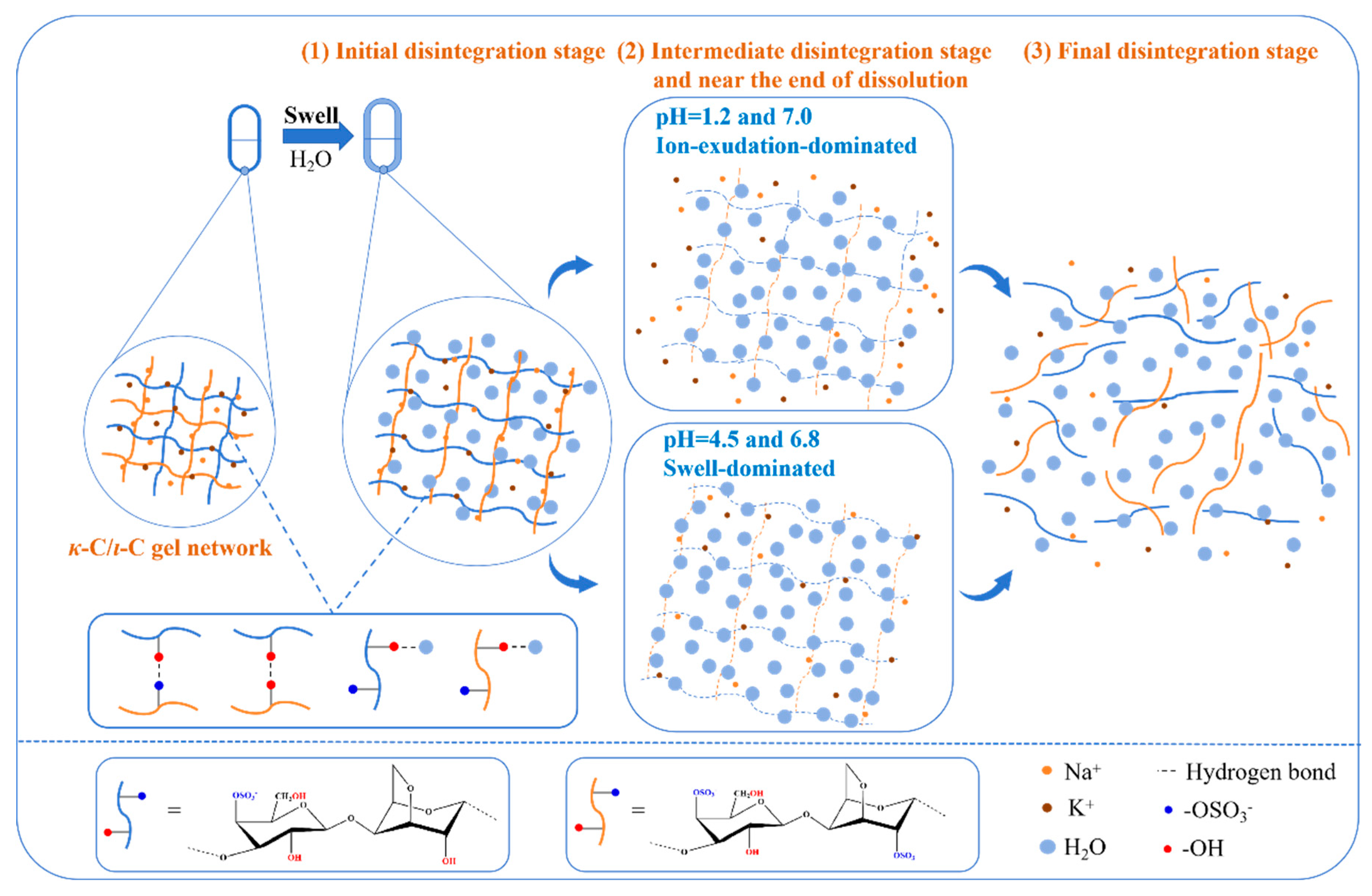 Marinedrugs 23 00284 g012