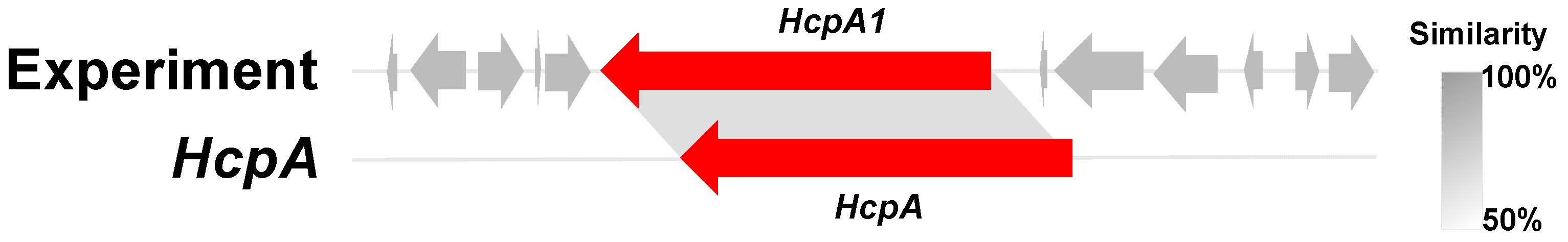 Marinedrugs 23 00285 g001