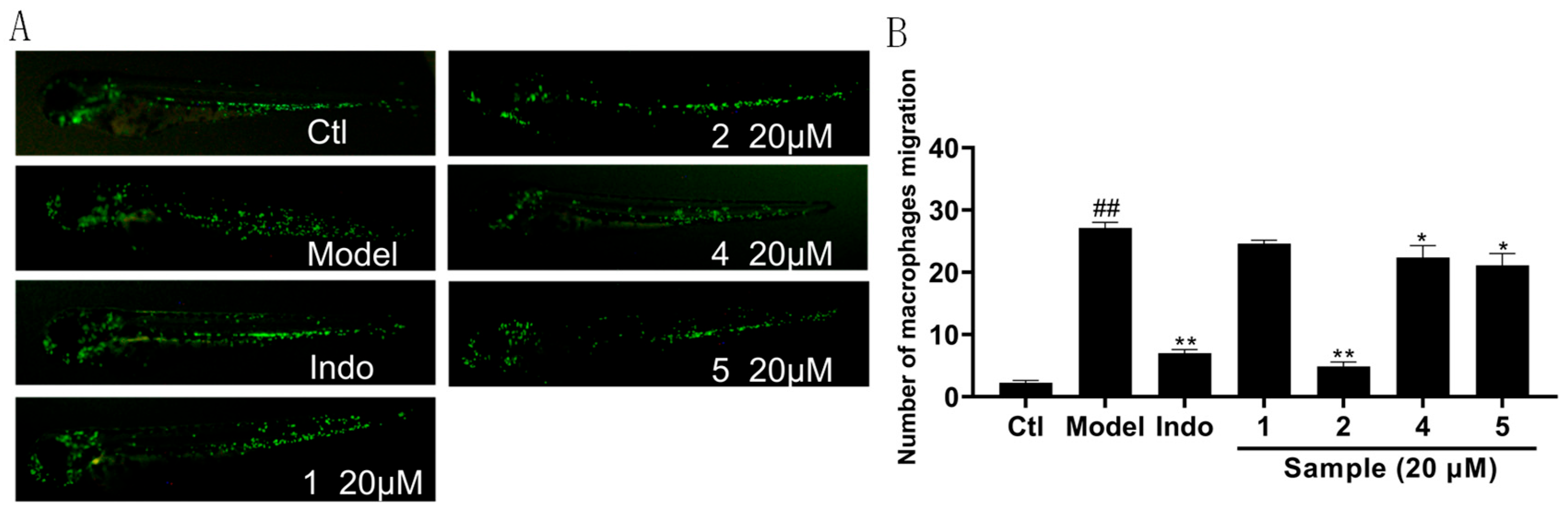 Marinedrugs 23 00285 g007