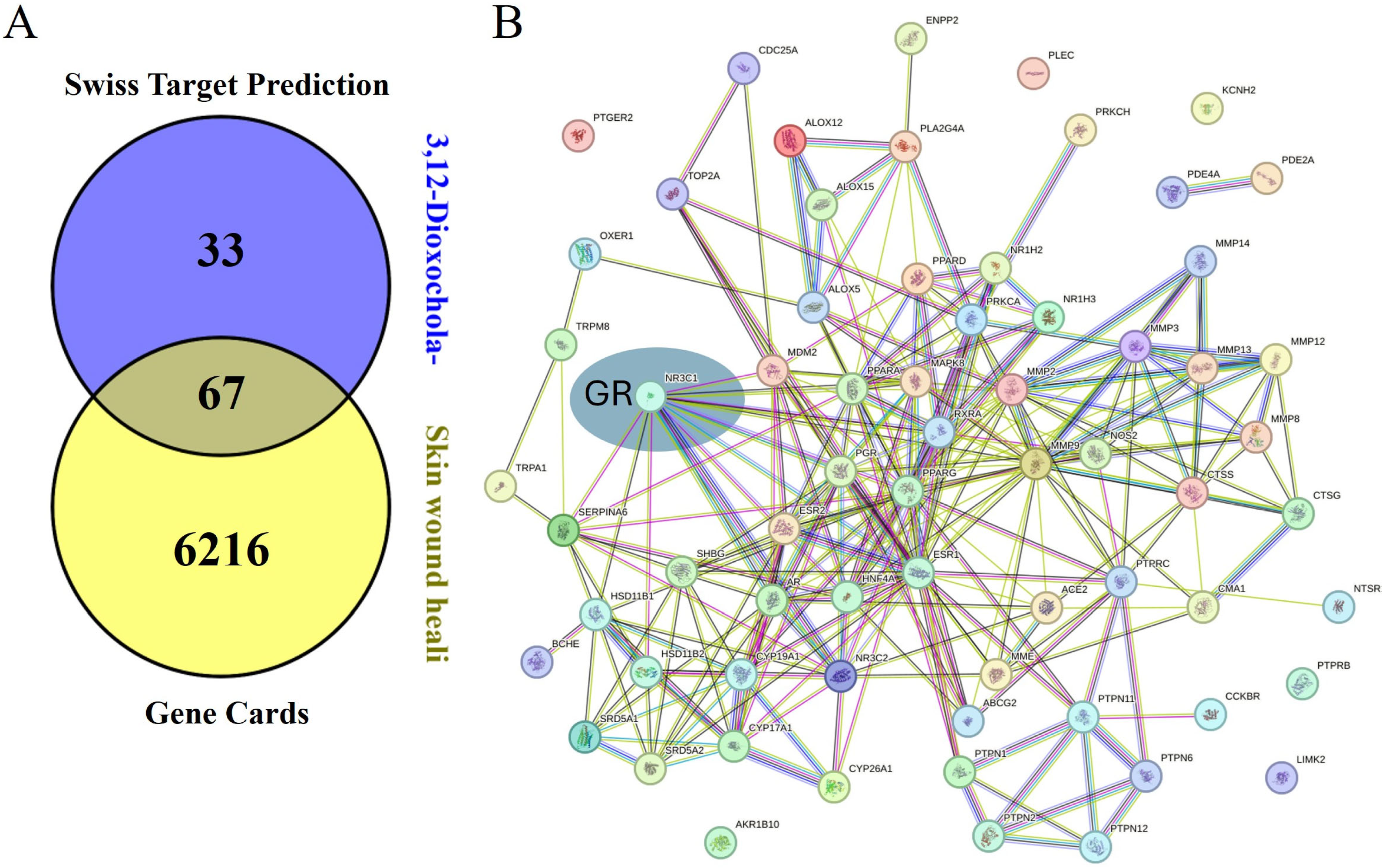 Marinedrugs 23 00292 g008a
