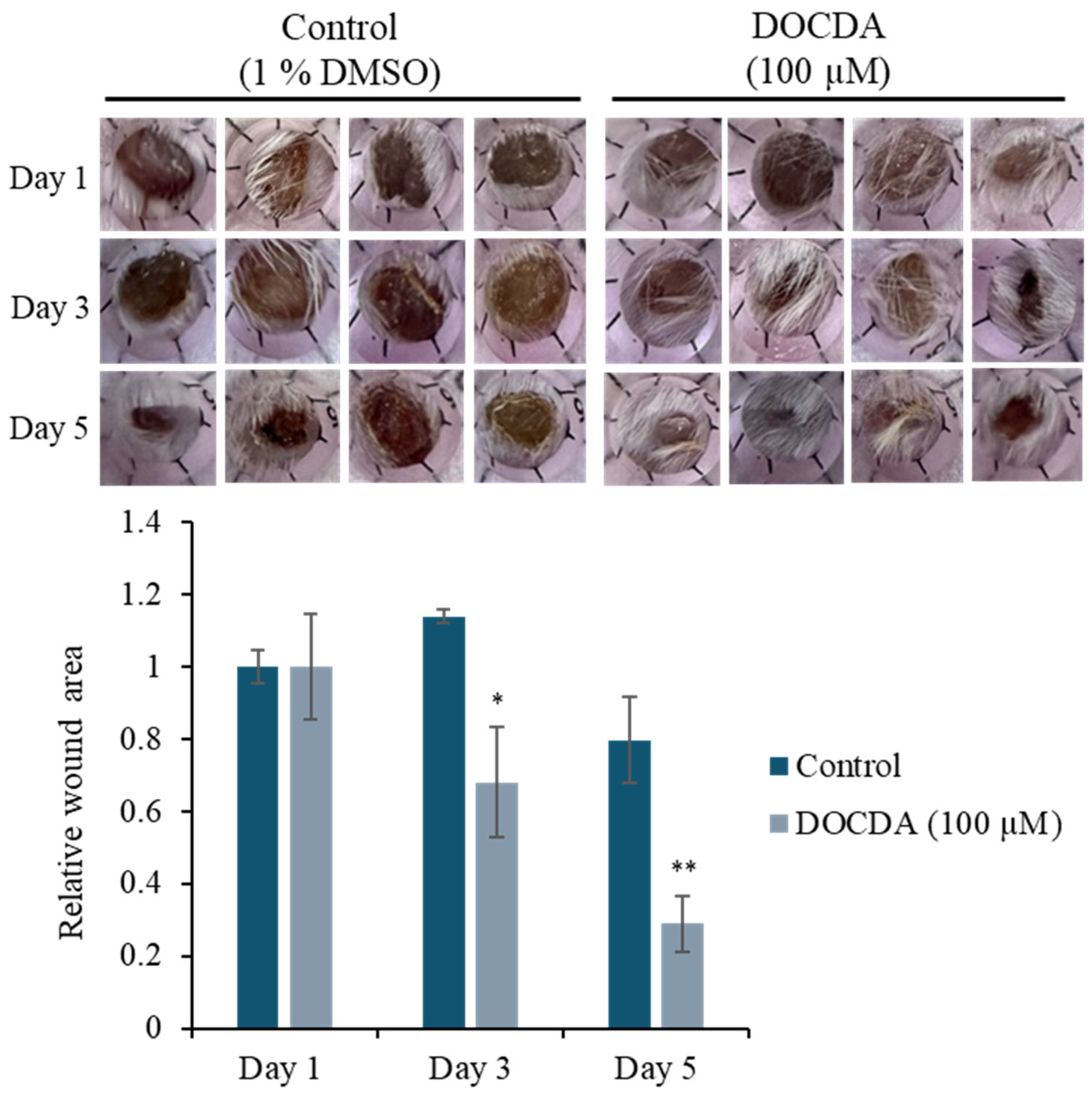 Marinedrugs 23 00292 g009