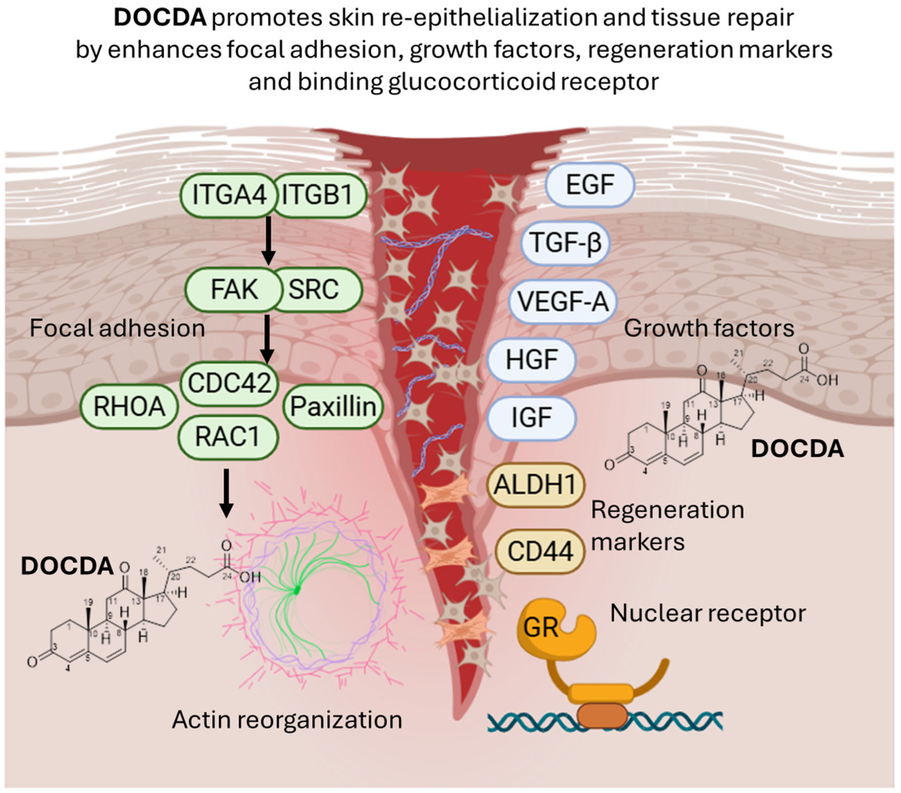 A Marine-Derived Steroid from Rhodococcus sp., 3,12