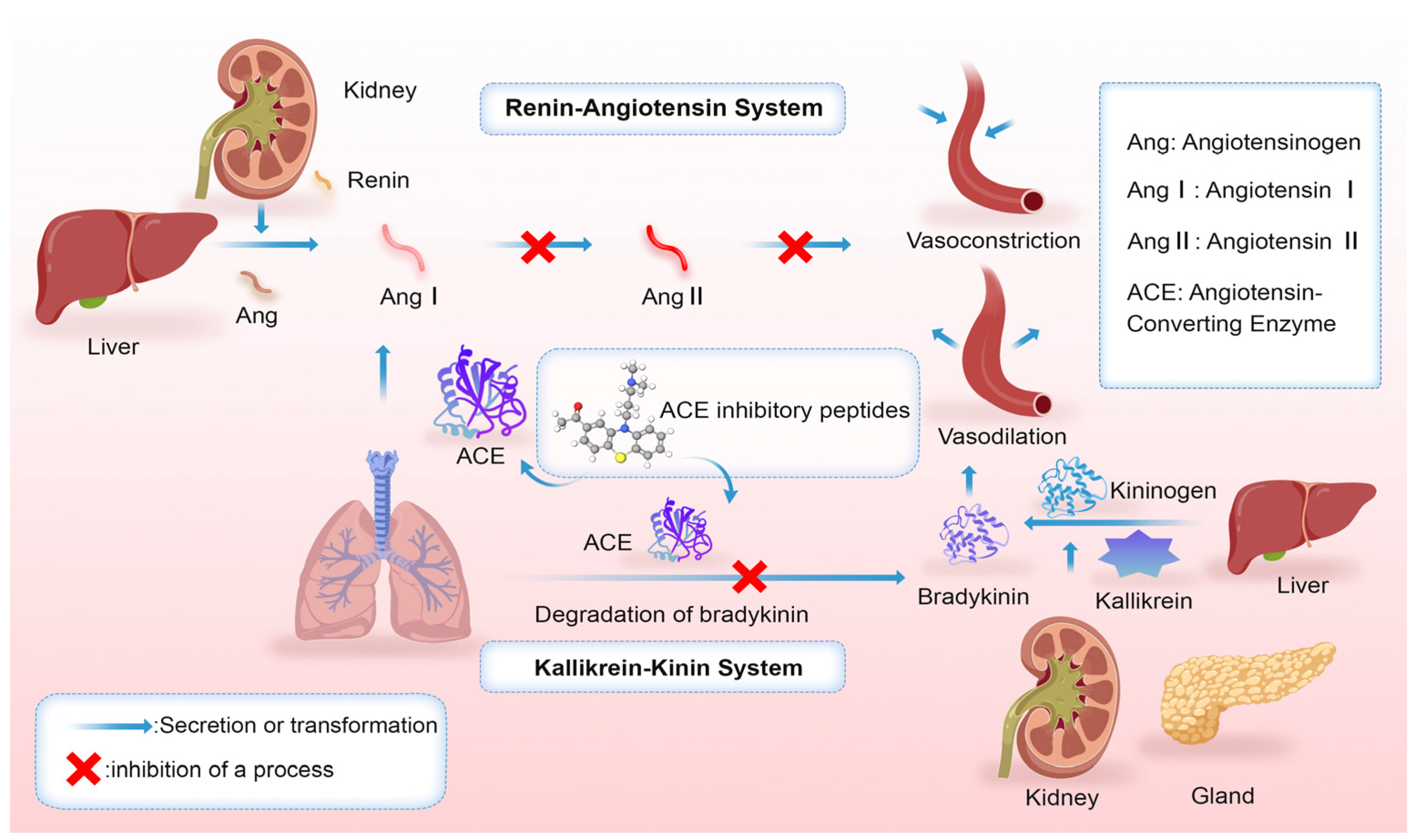 Marinedrugs 23 00293 g002