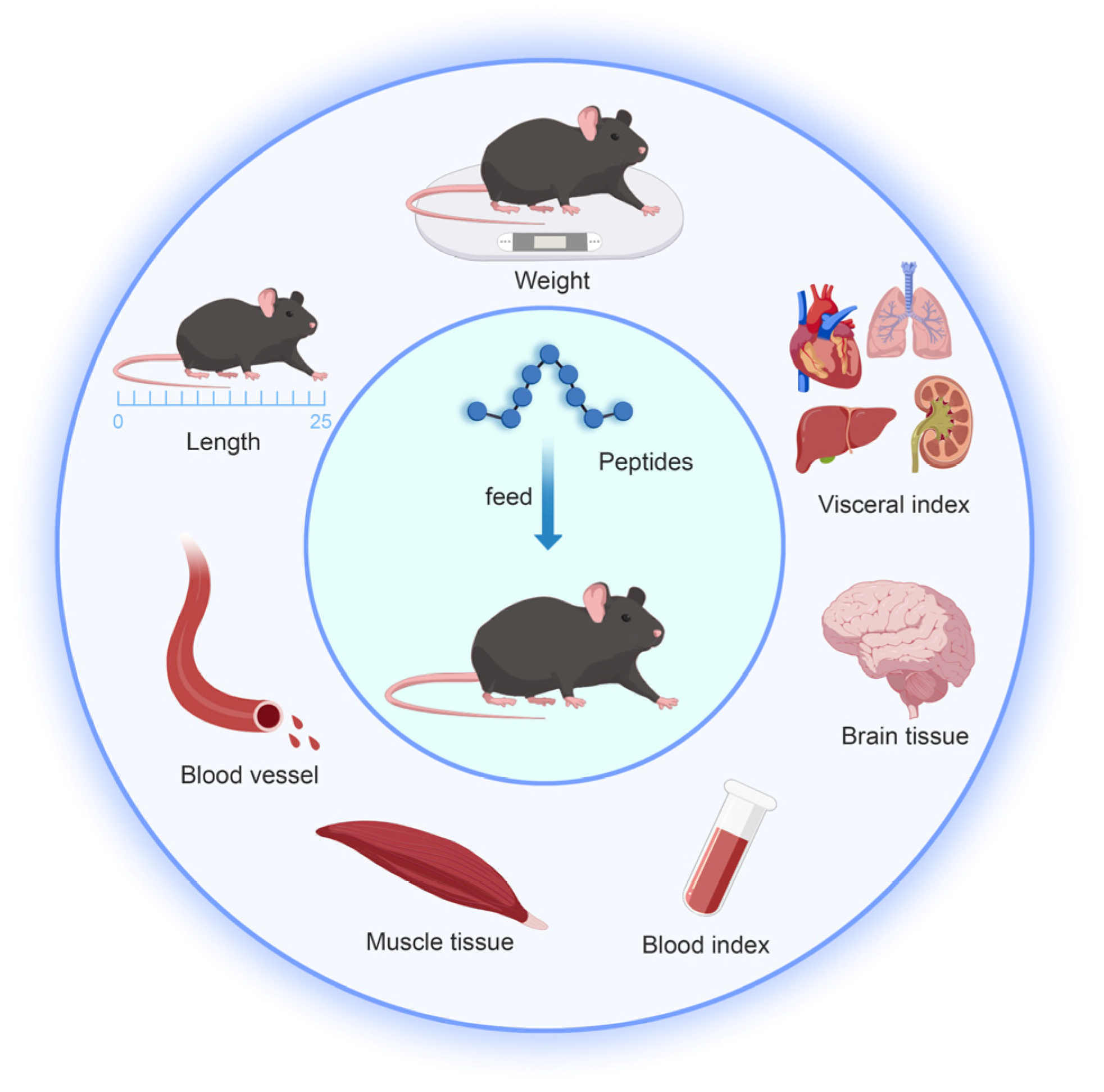 Marinedrugs 23 00293 g006