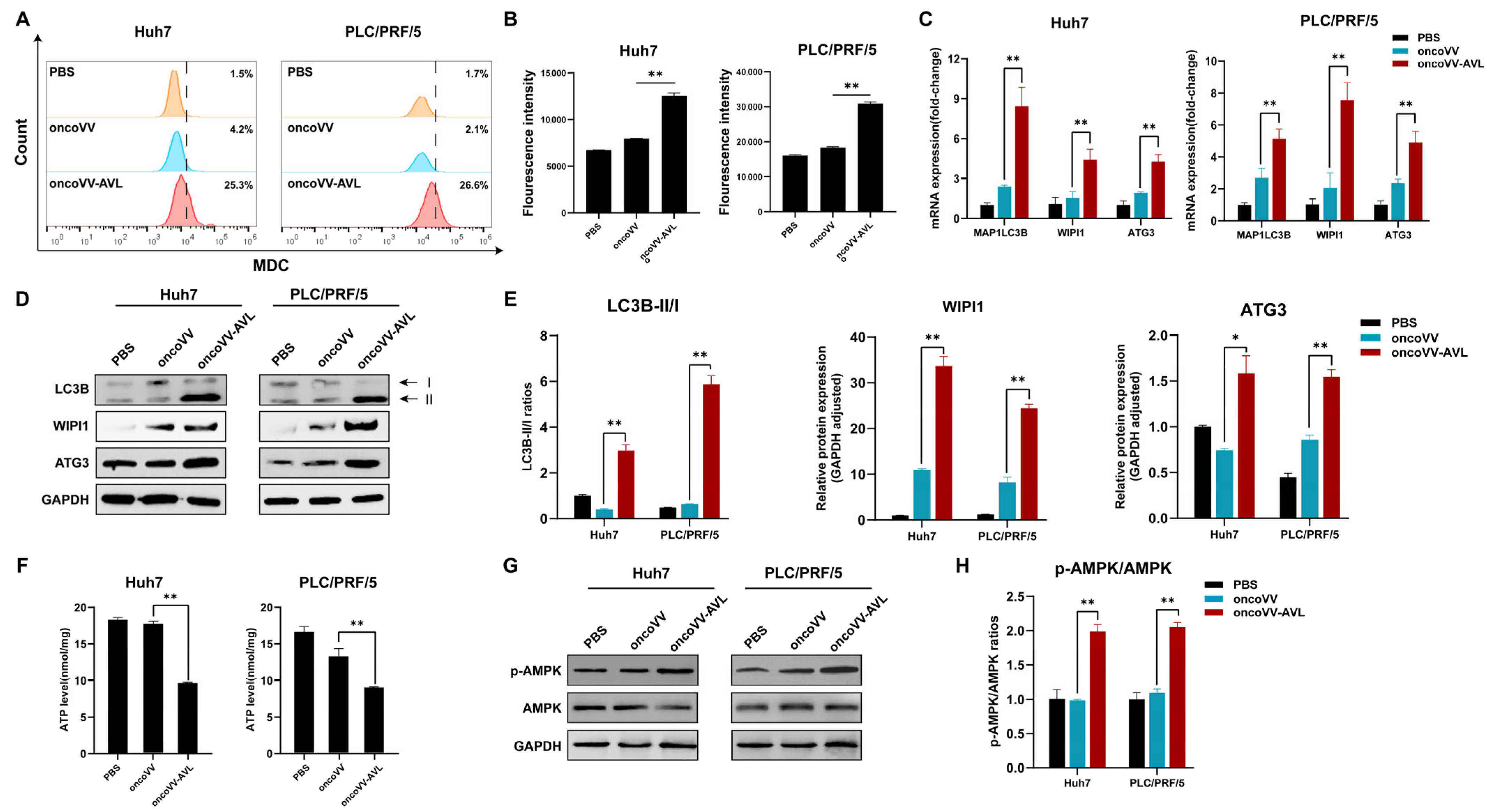 Marinedrugs 23 00297 g002