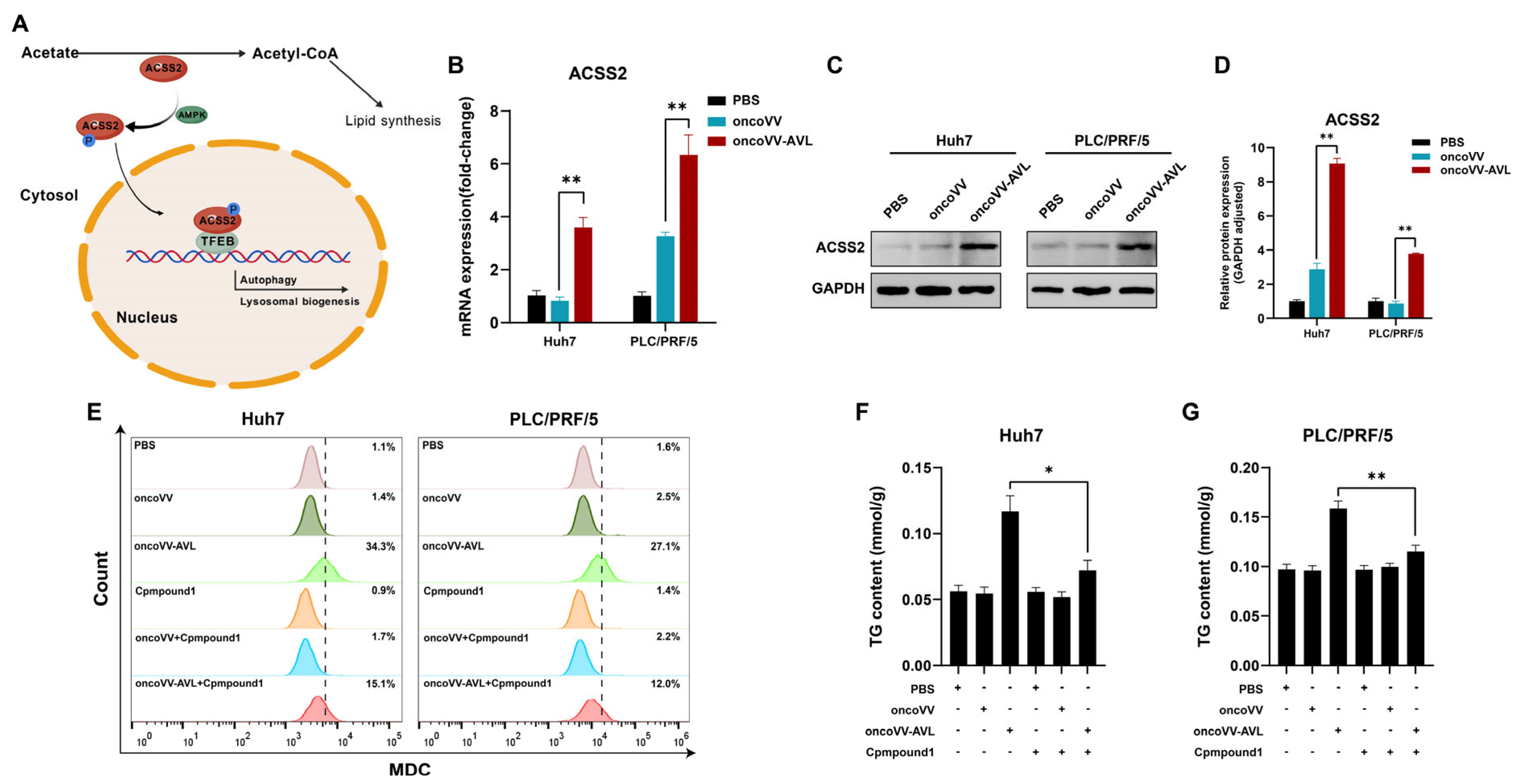 Marinedrugs 23 00297 g004