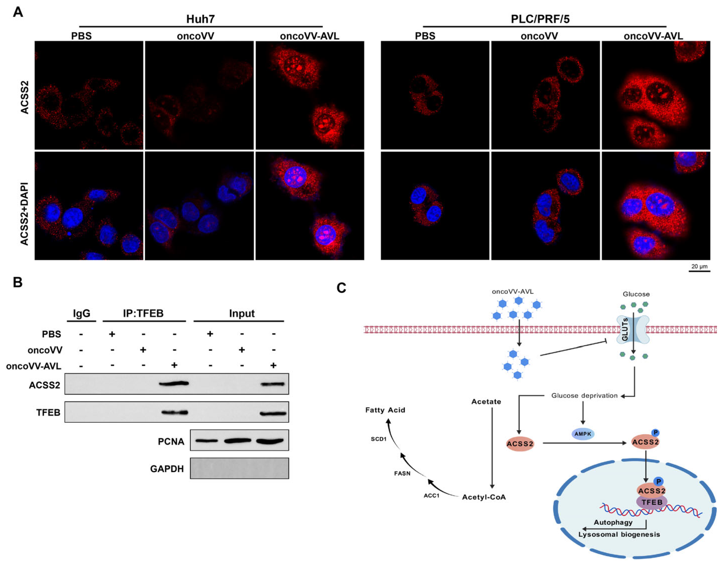 Marinedrugs 23 00297 g005