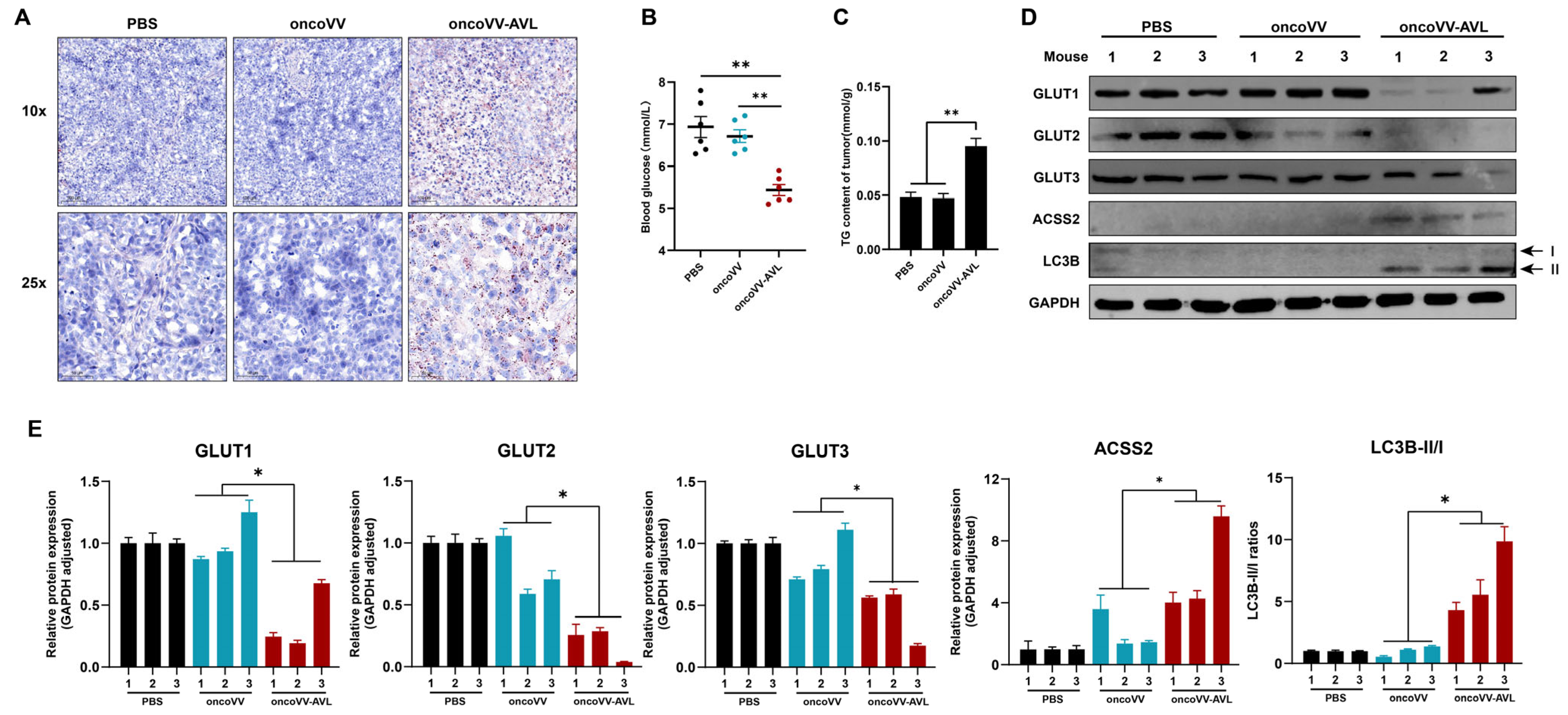 Marinedrugs 23 00297 g006