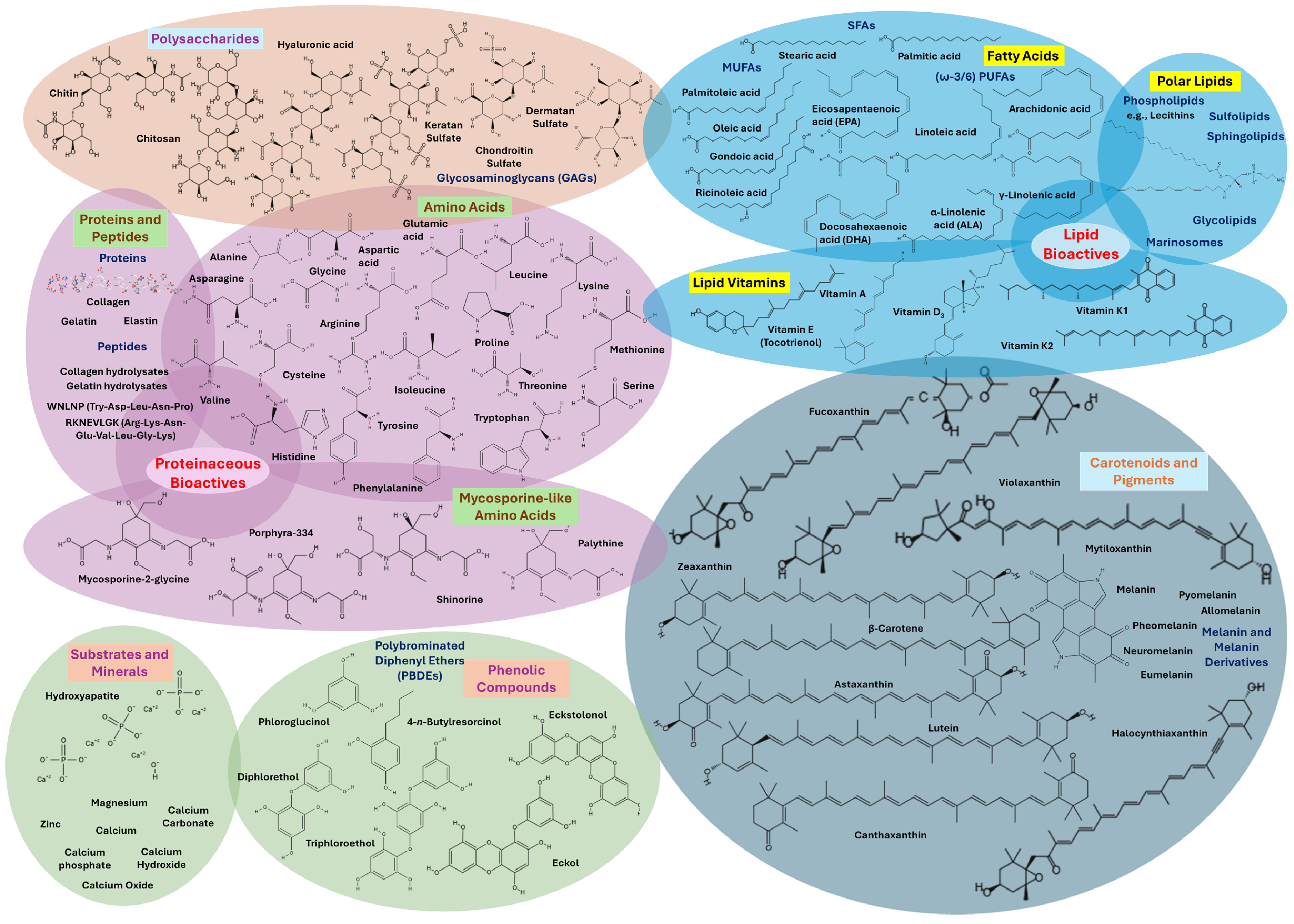 Marinedrugs 23 00299 g003 Marinedrugs 23 00299 g003