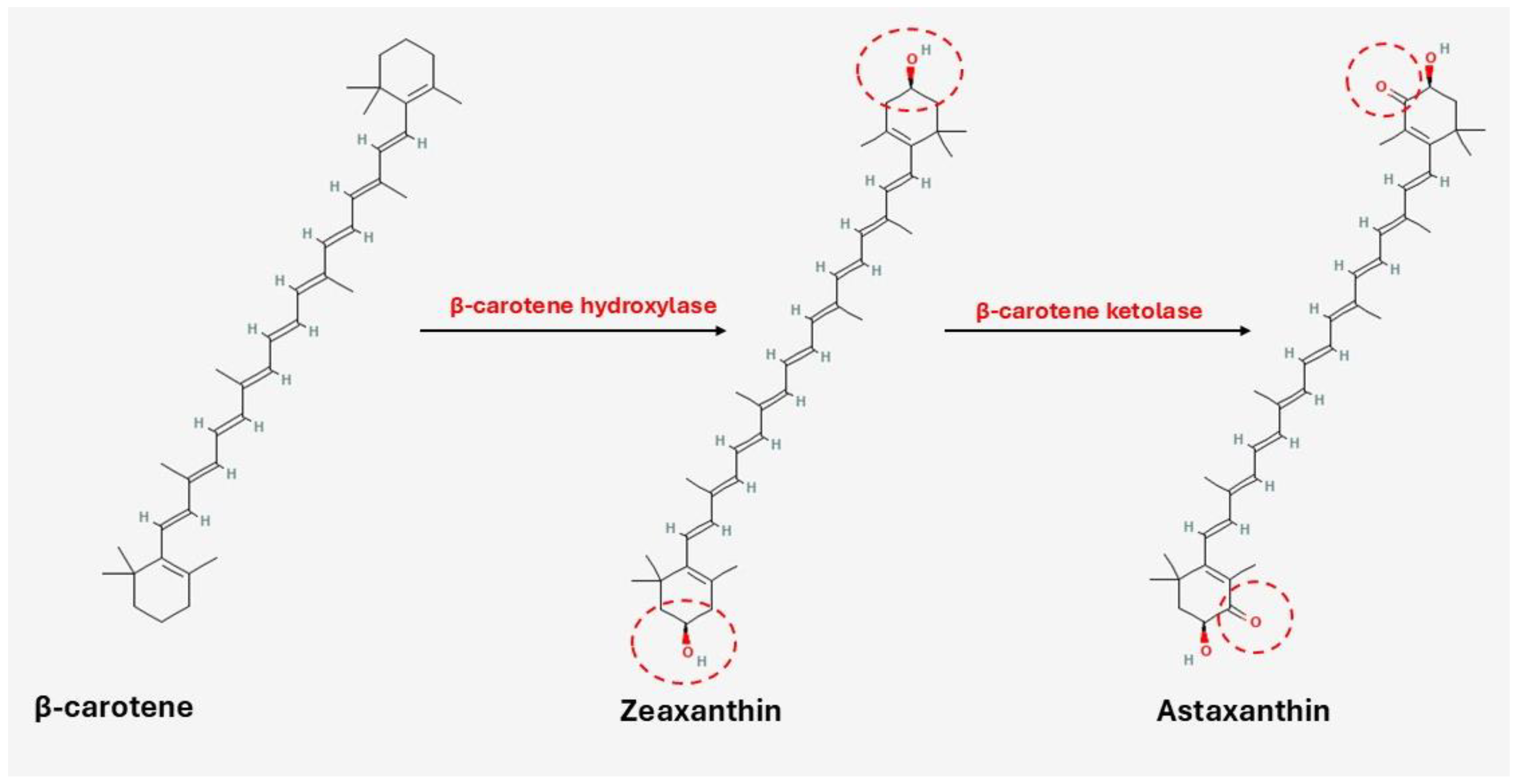 Marinedrugs 23 00299 g005 Marinedrugs 23 00299 g005