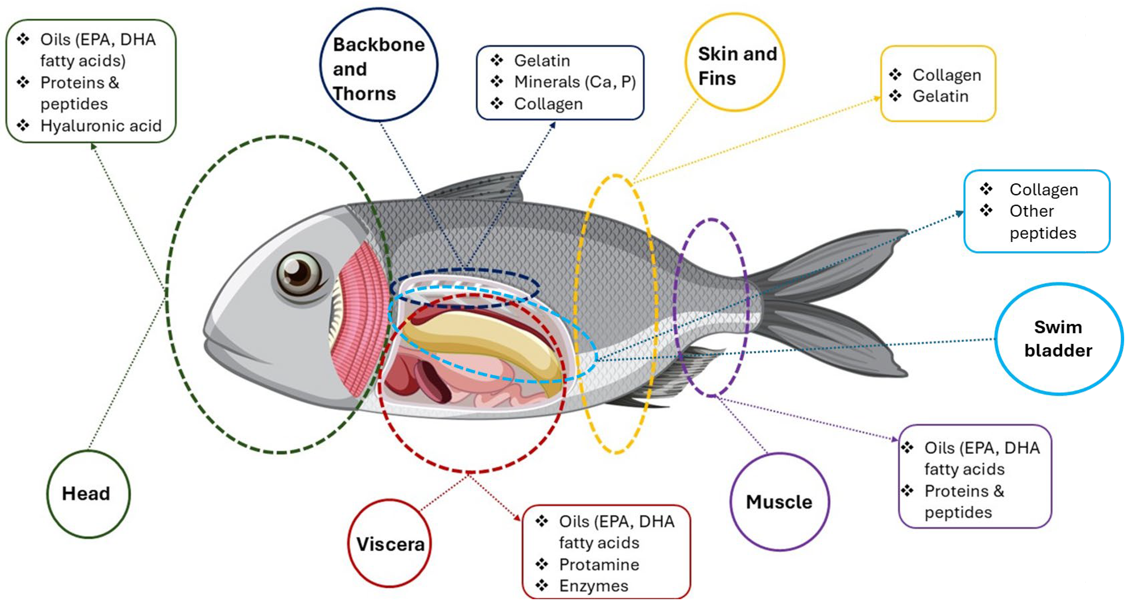 Marinedrugs 23 00299 g006 Marinedrugs 23 00299 g006
