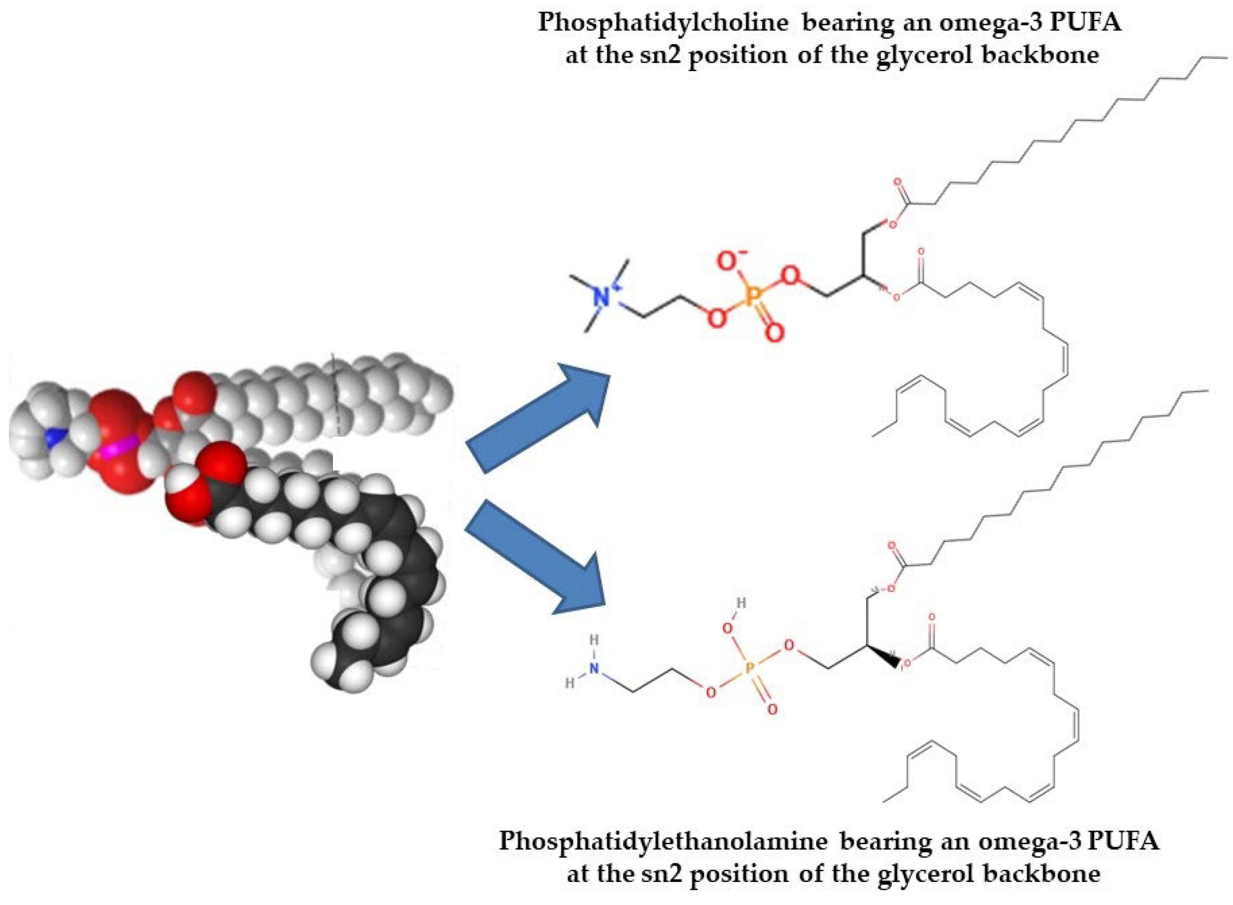 Marinedrugs 23 00299 g008 Marinedrugs 23 00299 g008