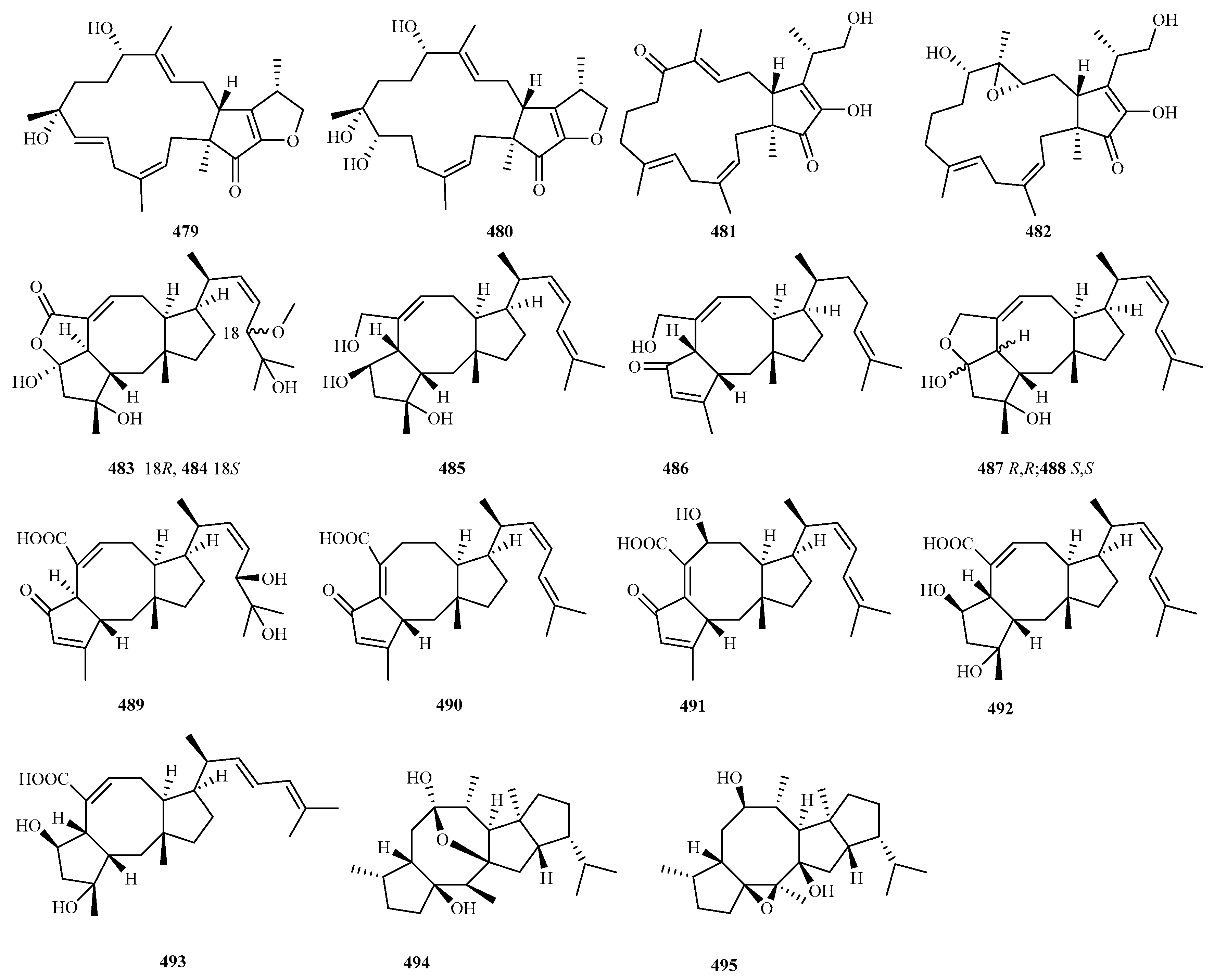 Marinedrugs 23 00300 g022