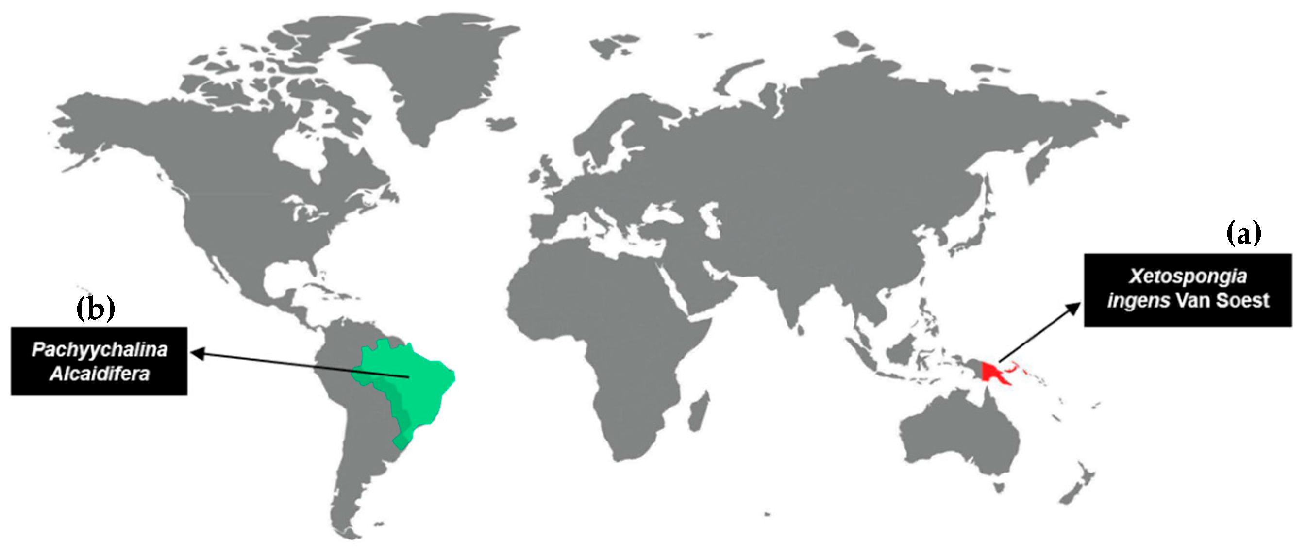 Marinedrugs 23 00301 g001