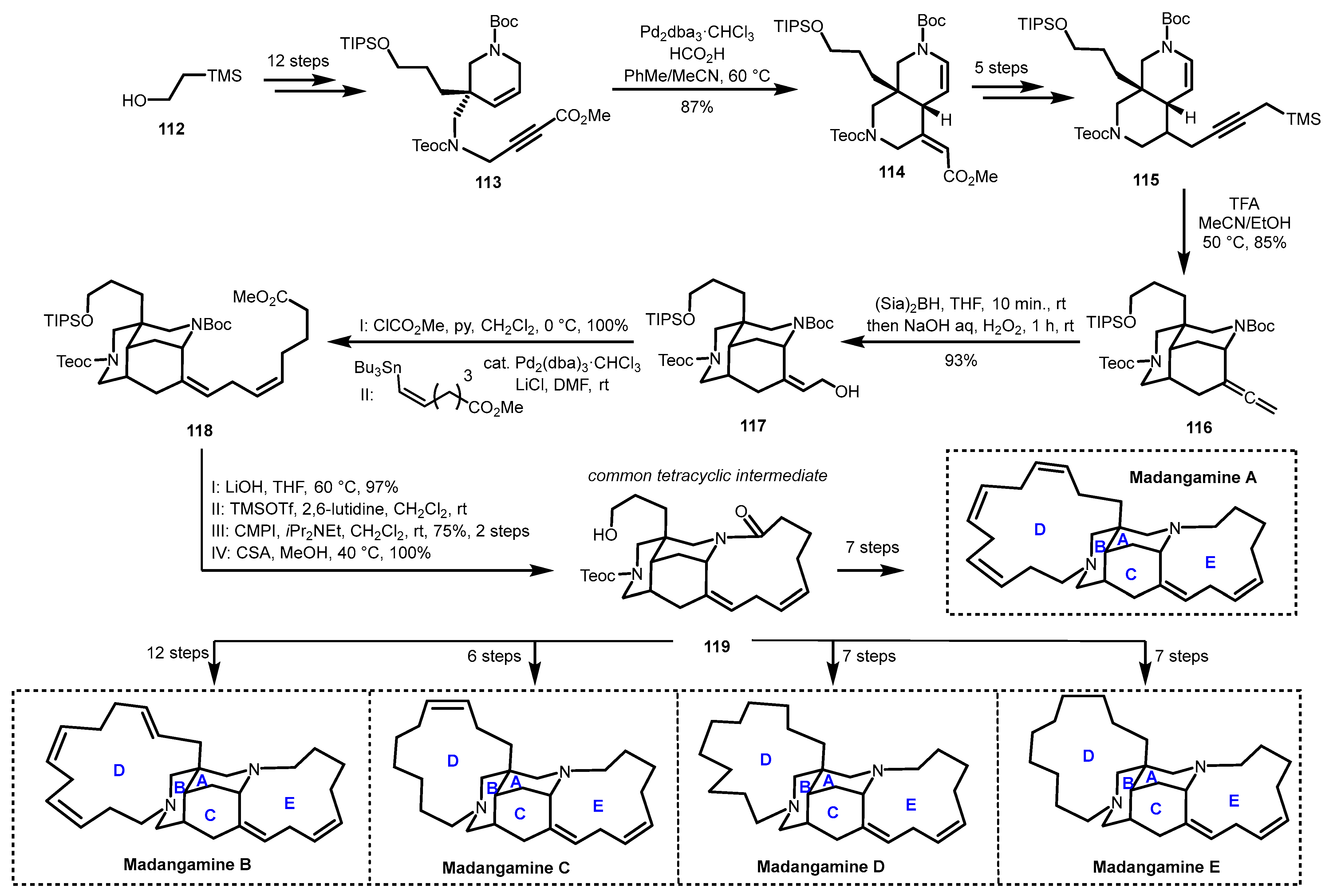 Marinedrugs 23 00301 sch019