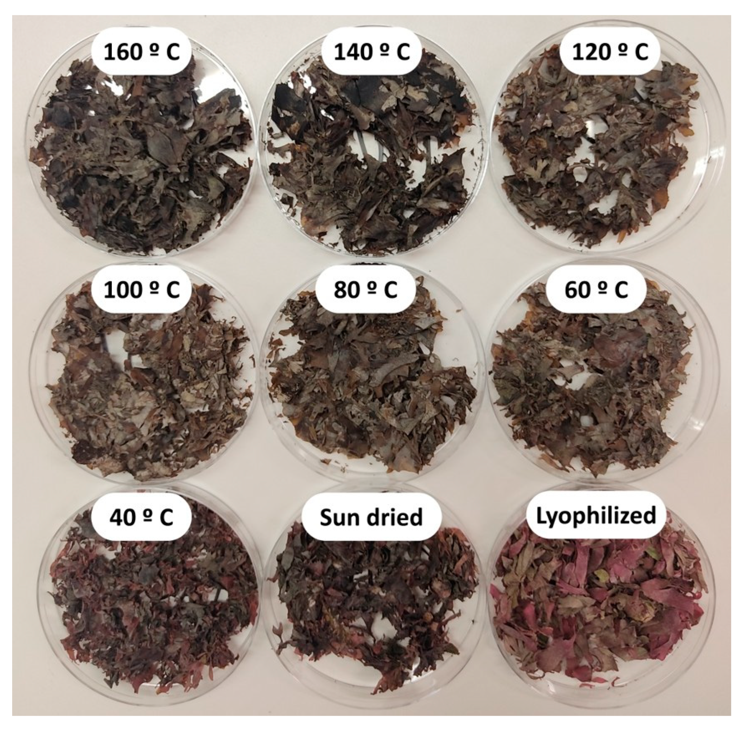 Marinedrugs 23 00302 g001 Marinedrugs 23 00302 g001