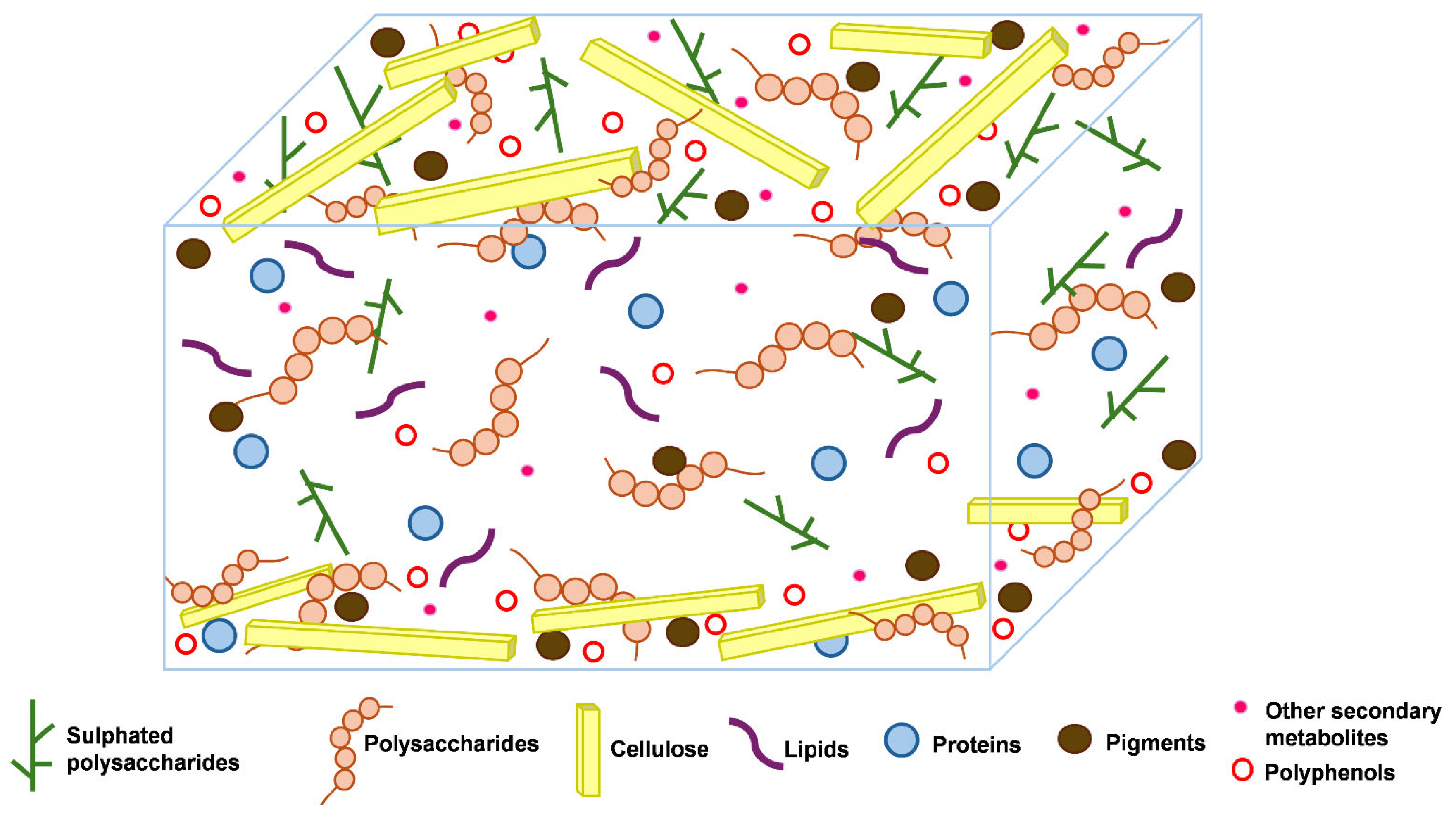 Marinedrugs 23 00303 g001
