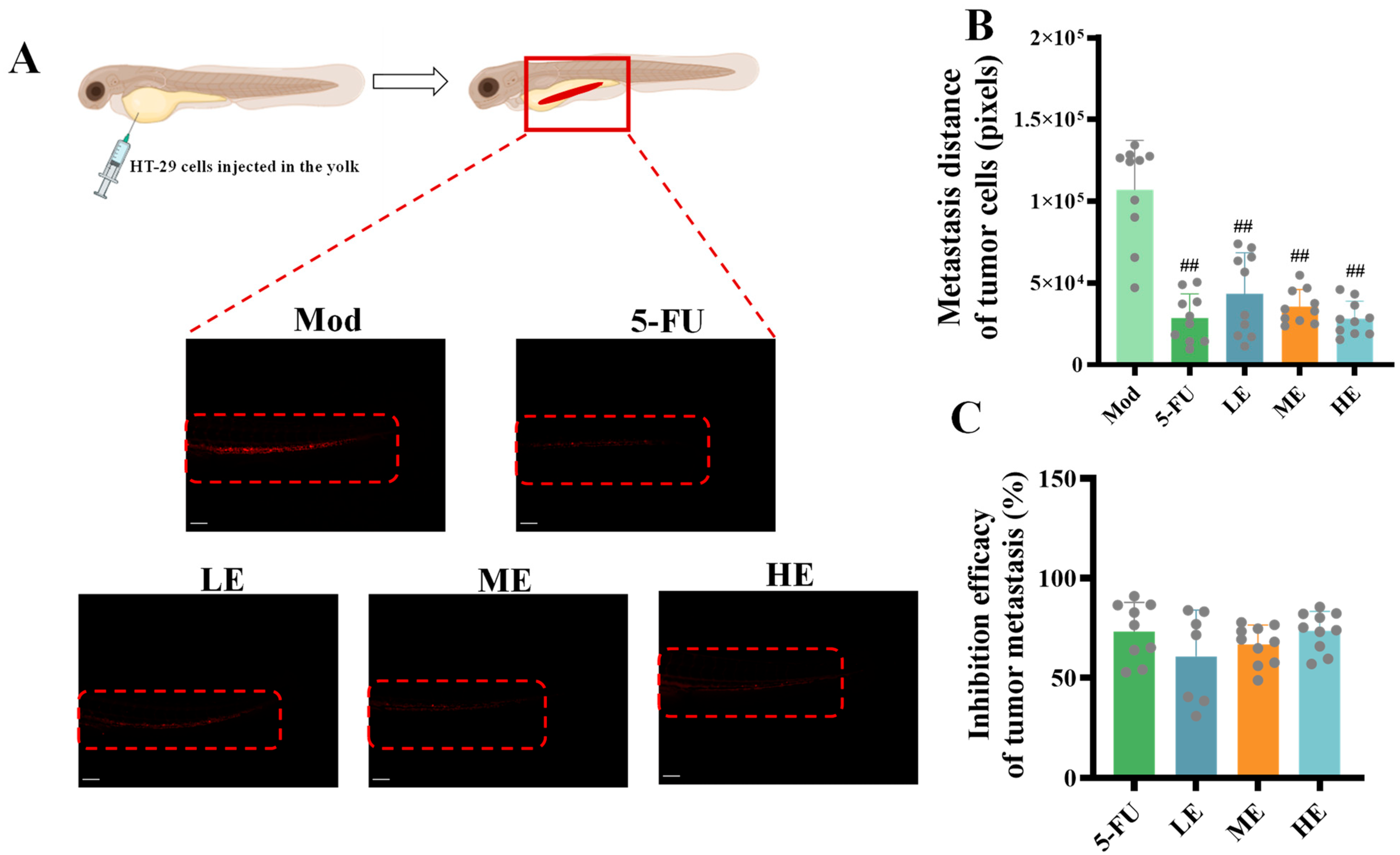 Marinedrugs 23 00304 g006 Marinedrugs 23 00304 g006