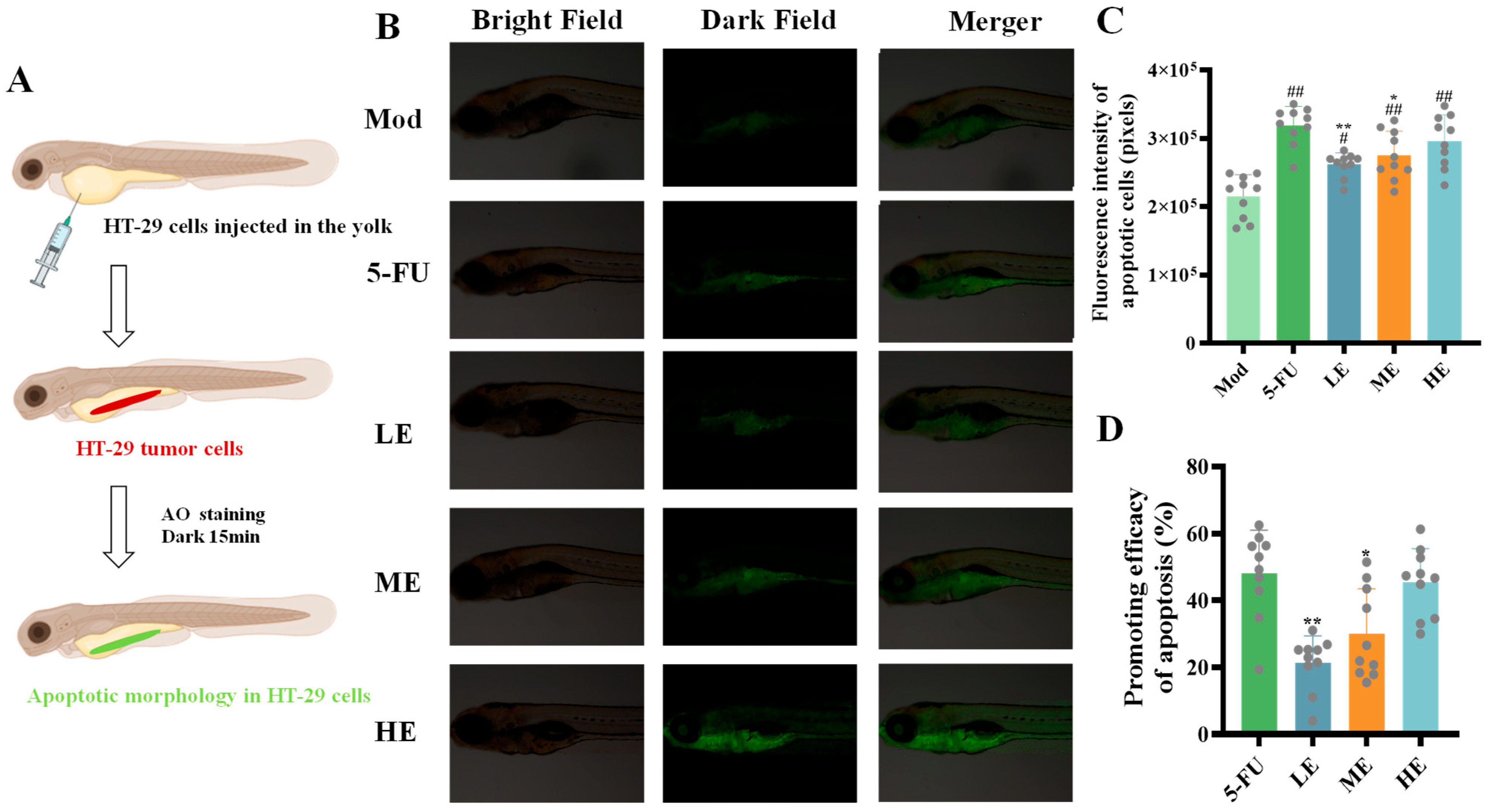 Marinedrugs 23 00304 g008 Marinedrugs 23 00304 g008