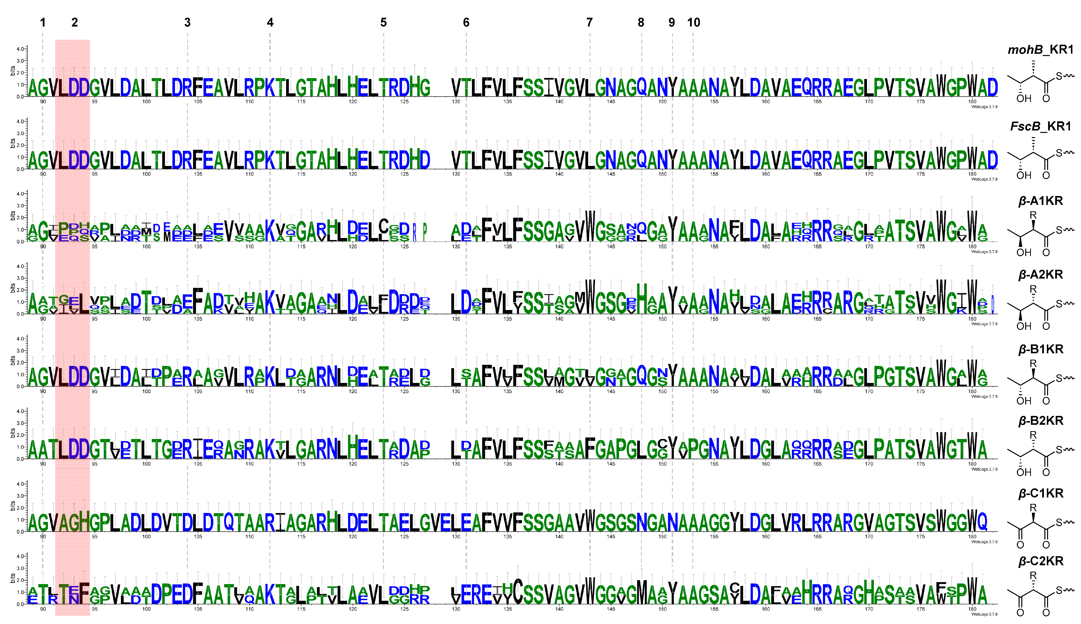 Marinedrugs 23 00307 g005