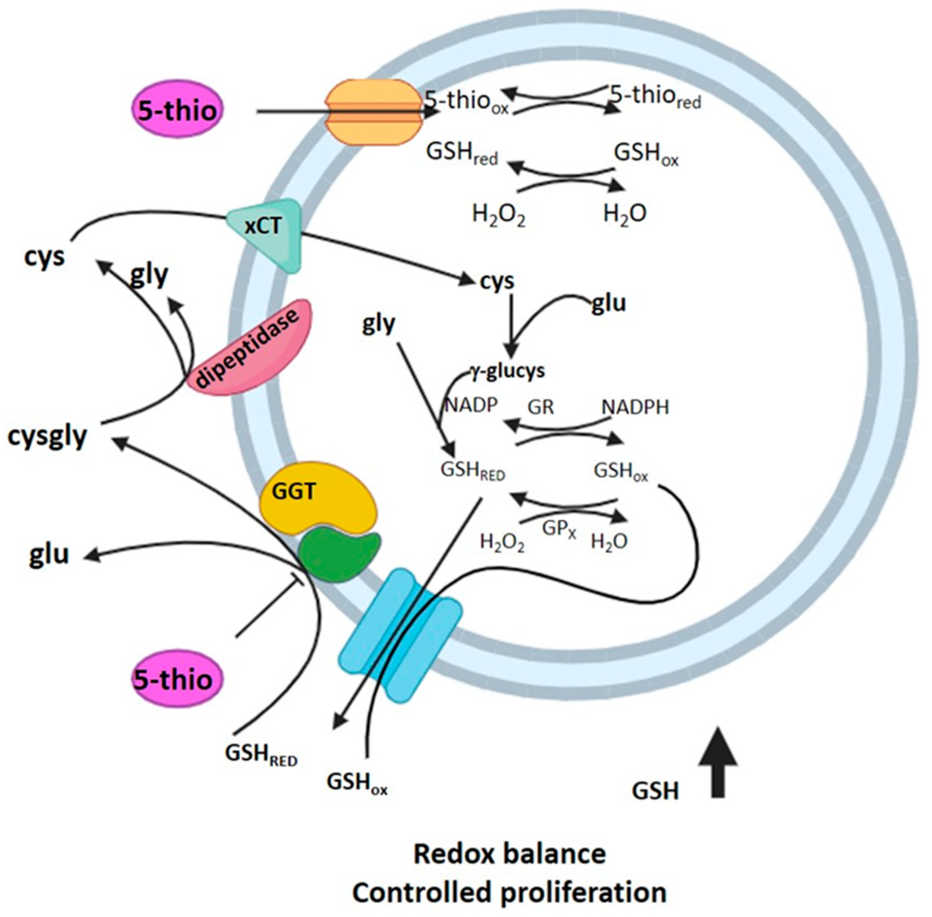 Marinedrugs 23 00308 g006