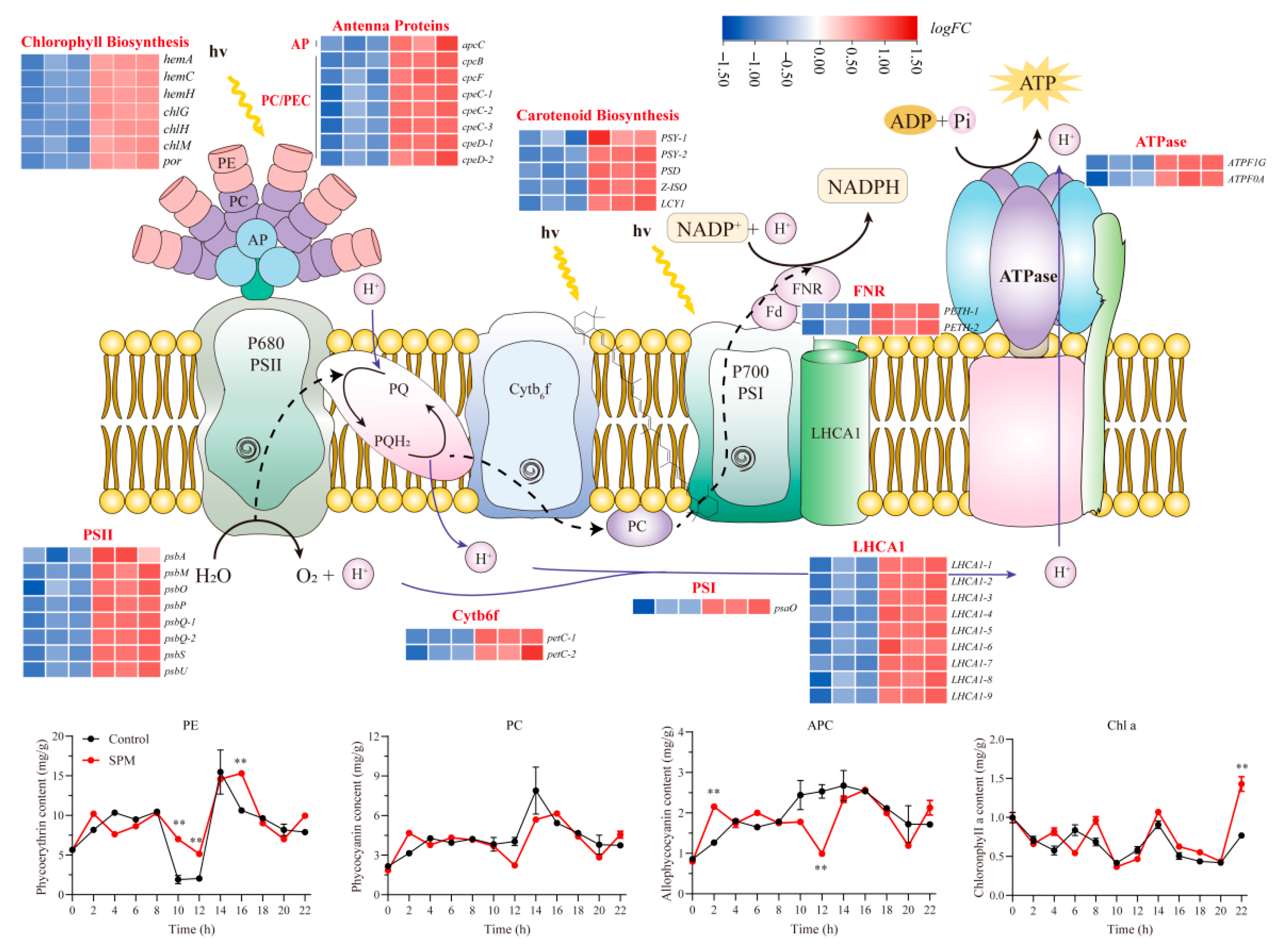 Marinedrugs 23 00309 g004