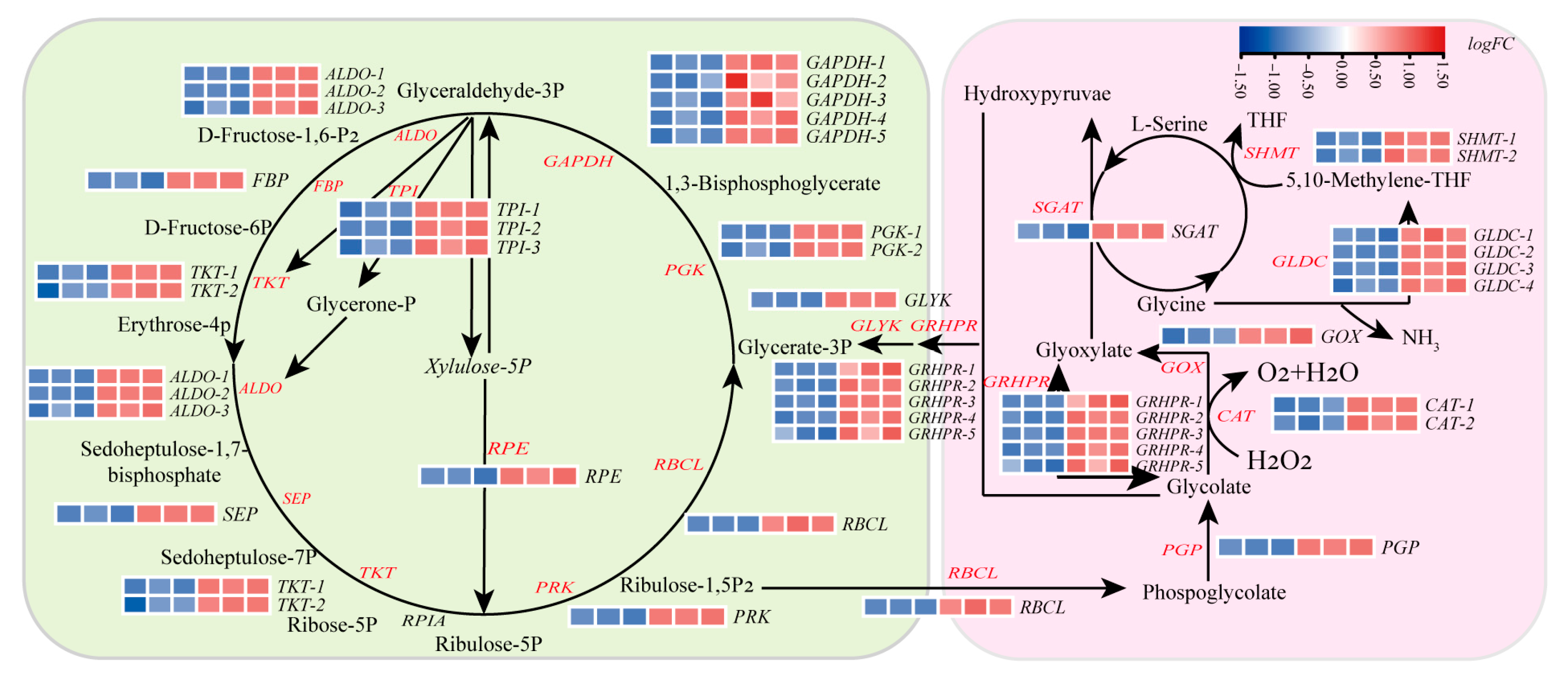 Marinedrugs 23 00309 g005