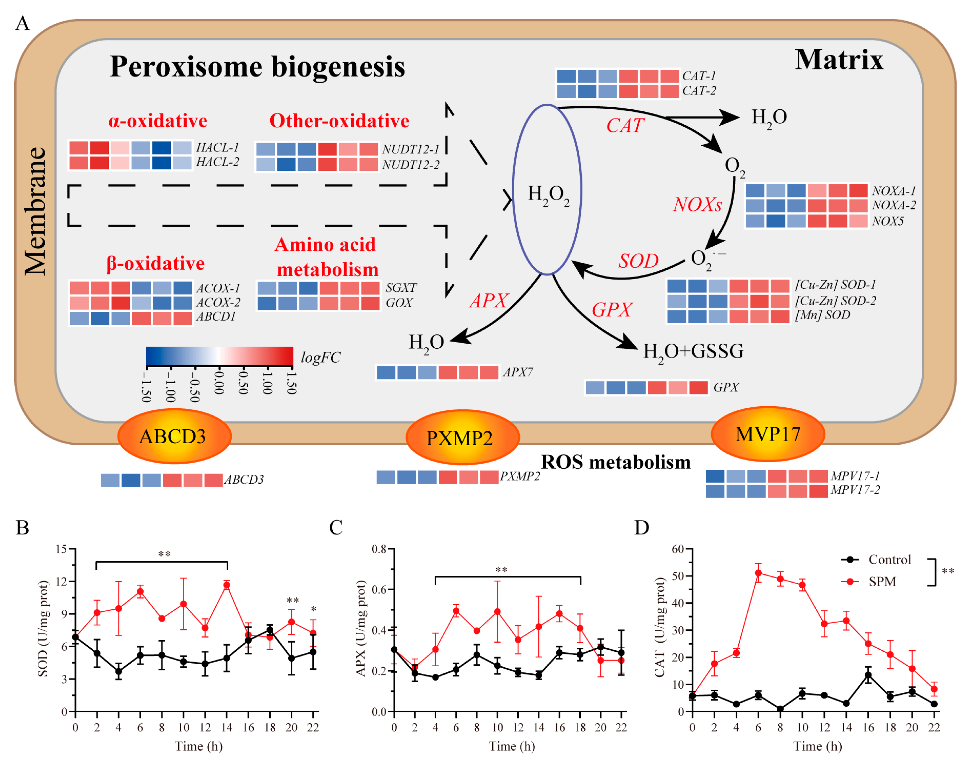 Marinedrugs 23 00309 g006