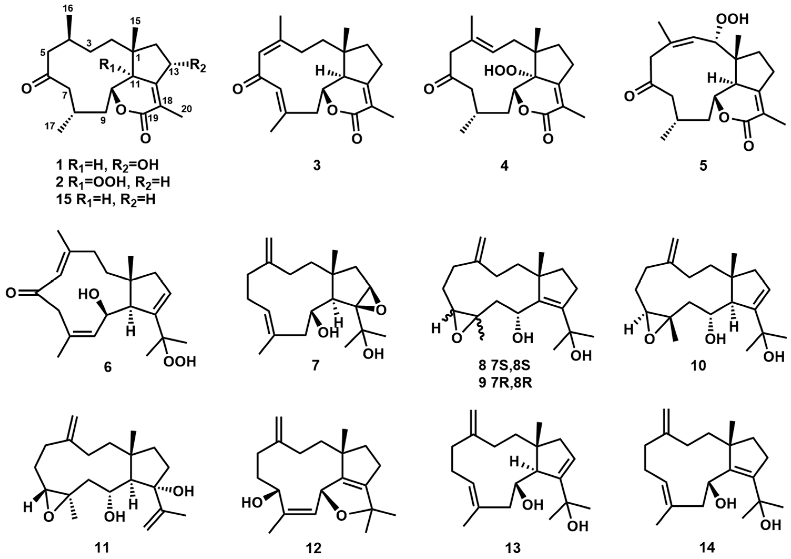 Marinedrugs 23 00312 g001