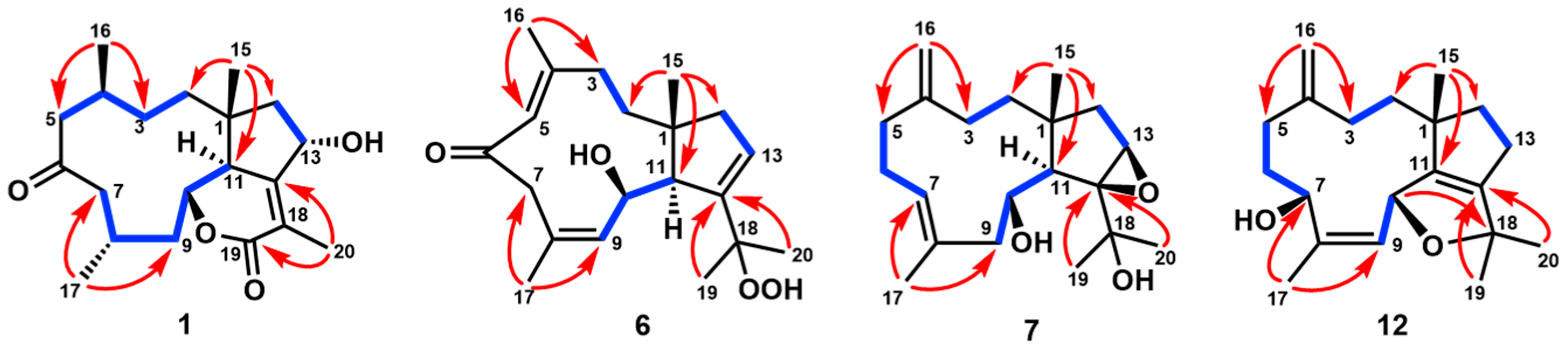 Marinedrugs 23 00312 g002