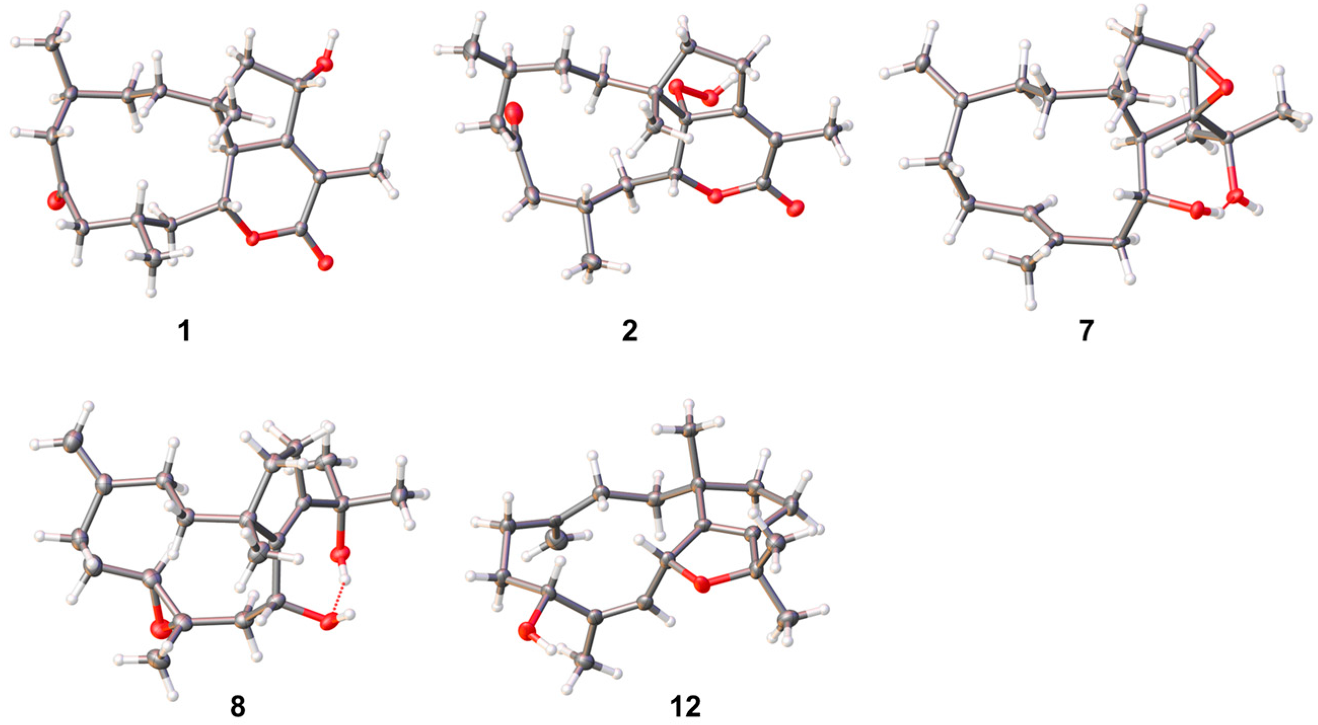 Marinedrugs 23 00312 g003