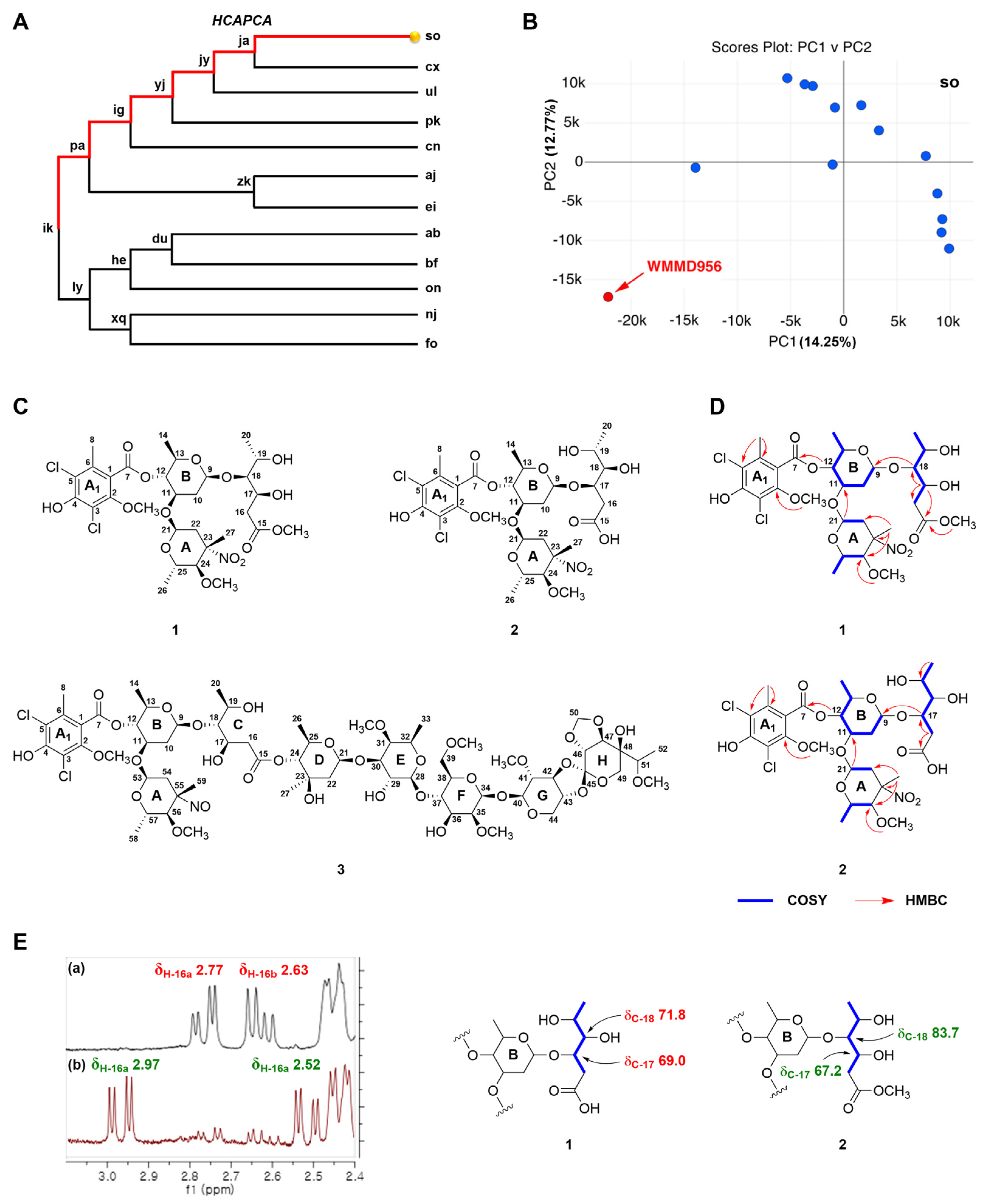 Marinedrugs 23 00316 g001 Marinedrugs 23 00316 g001