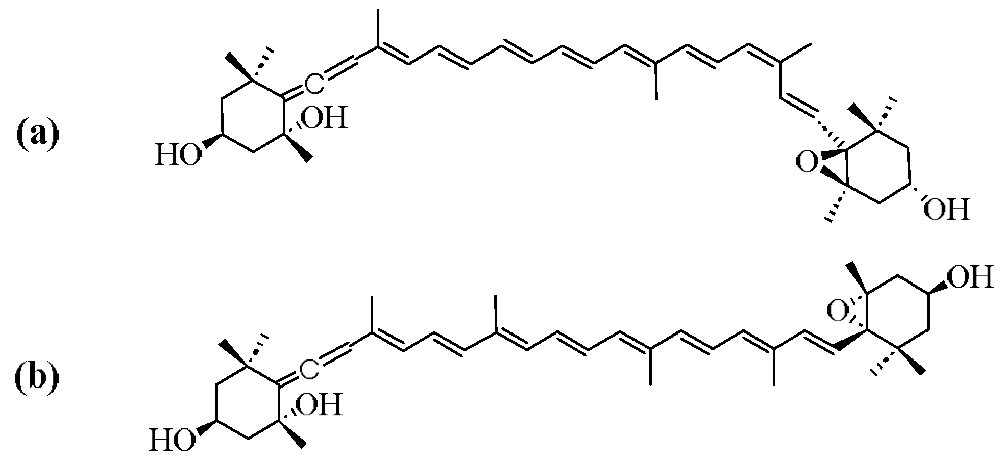 Marinedrugs 23 00317 g001