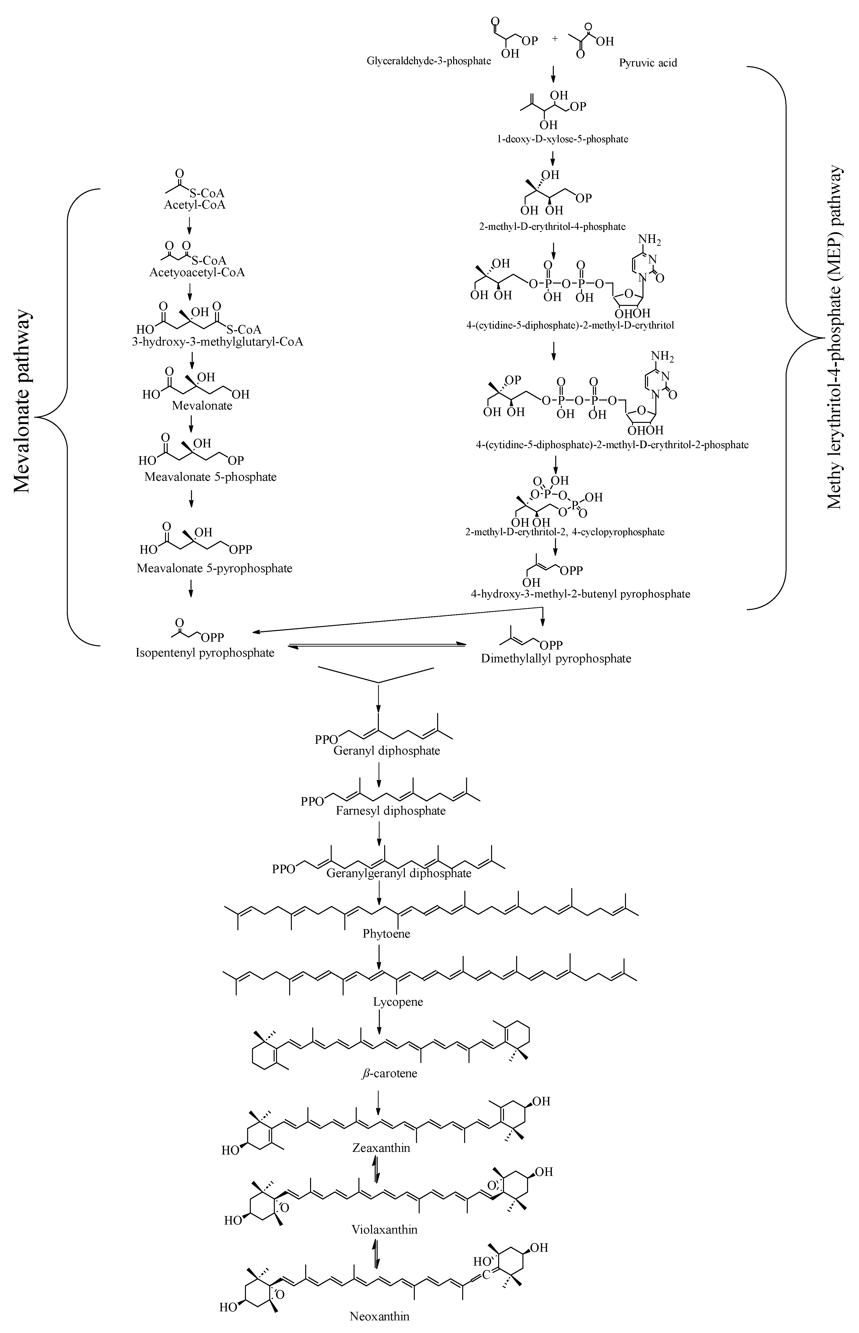 Marinedrugs 23 00317 g003