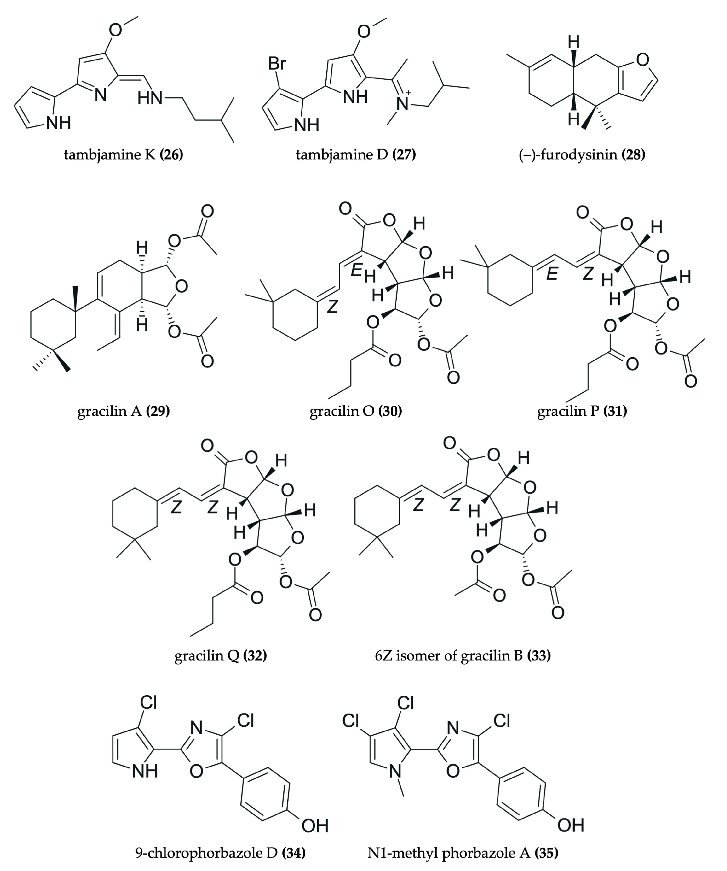 Marinedrugs 23 00319 g006