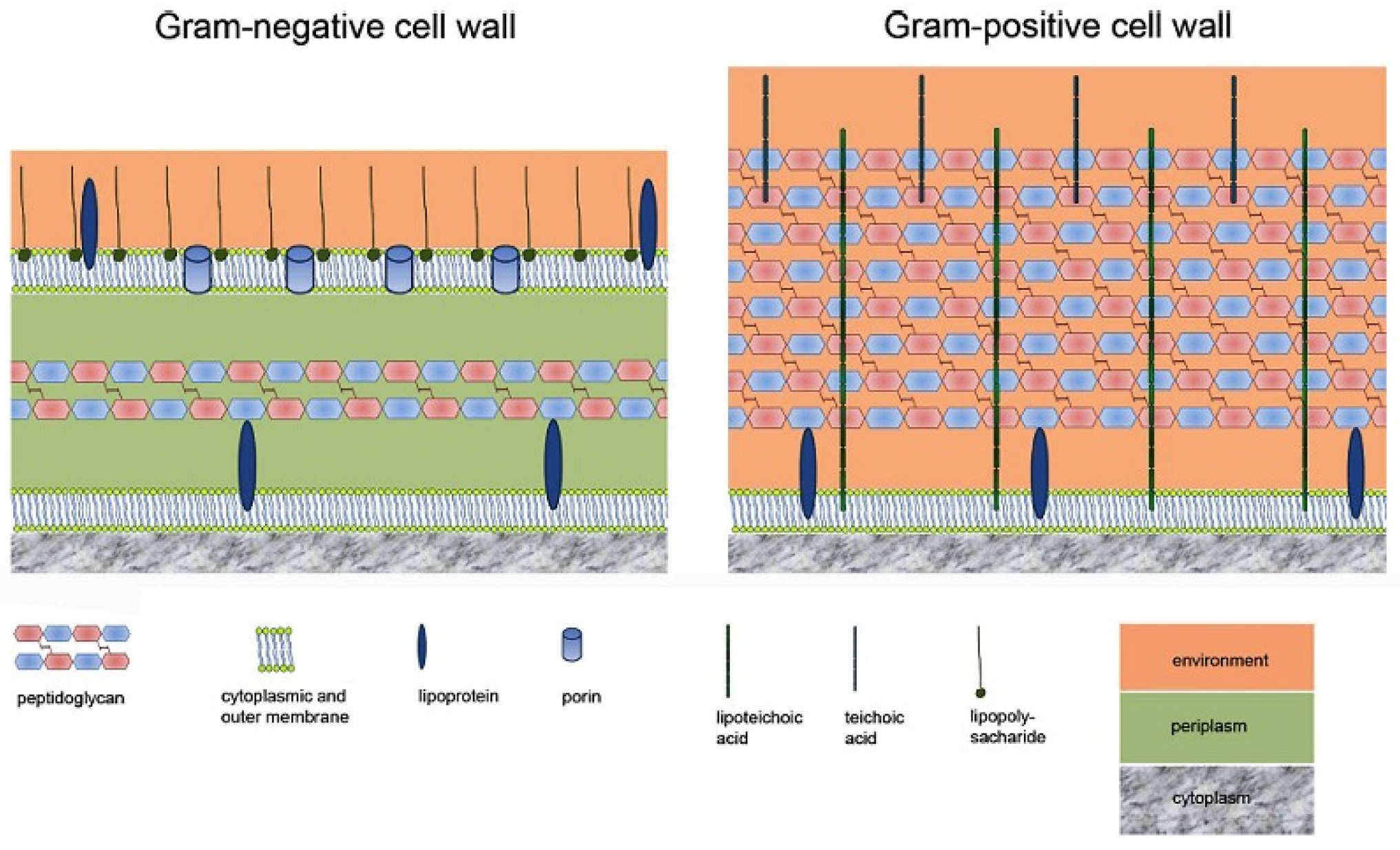 Marinedrugs 23 00321 g005